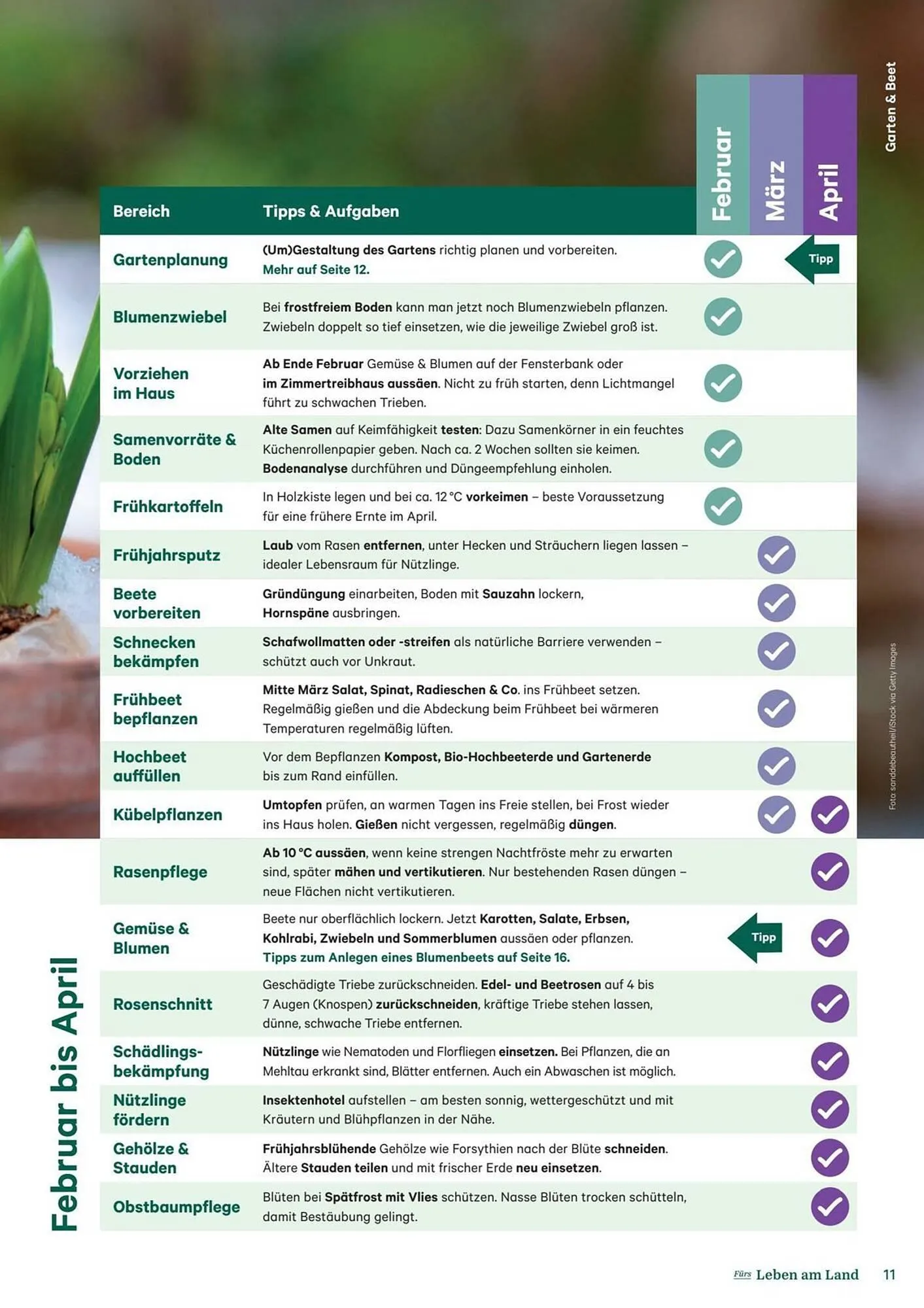 Lagerhaus Flugblatt von 1. Februar bis 28. Februar 2026 - Flugblätt seite 11