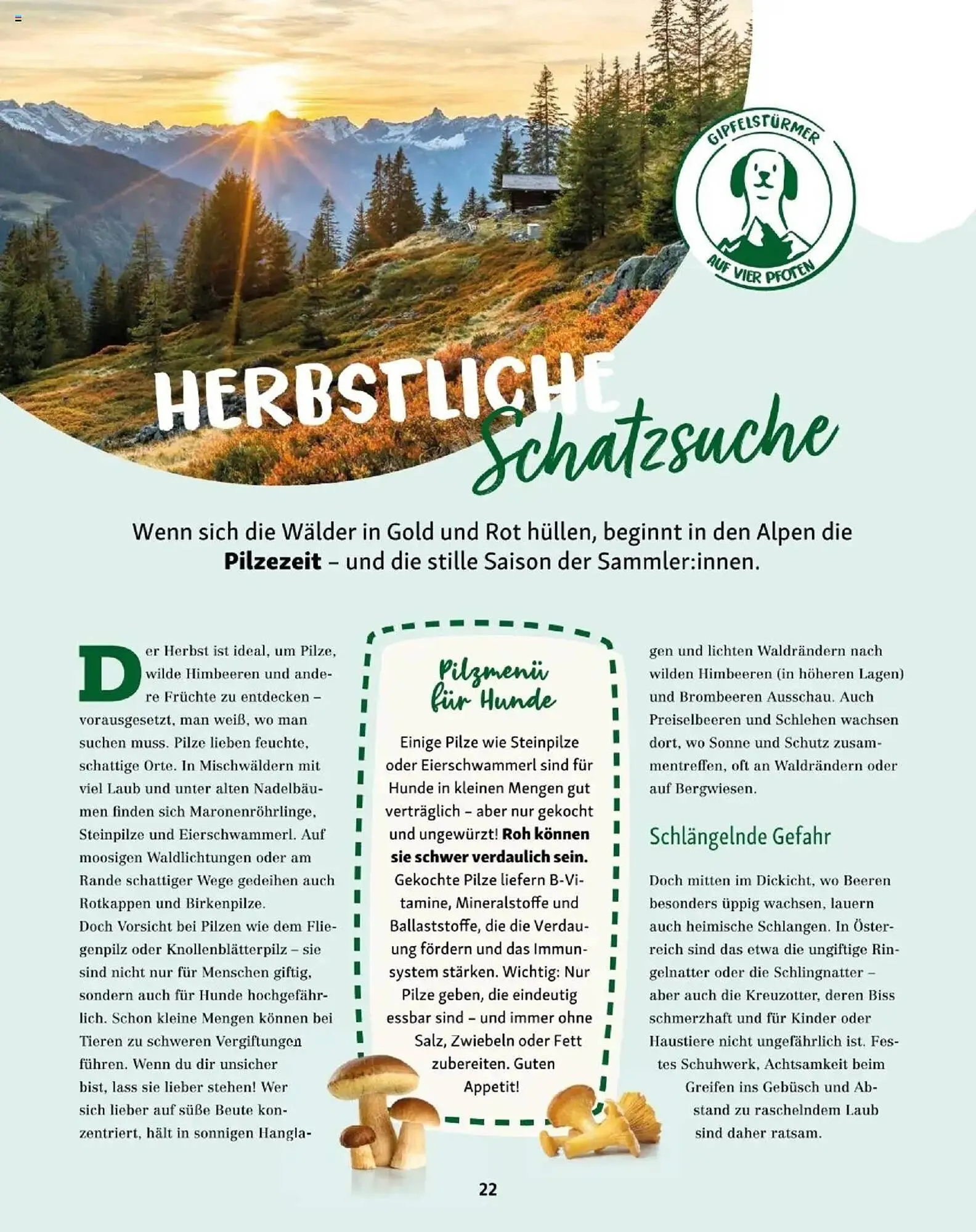 Fressnapf Flugblatt von 1. September bis 31. Oktober 2025 - Flugblätt seite  22