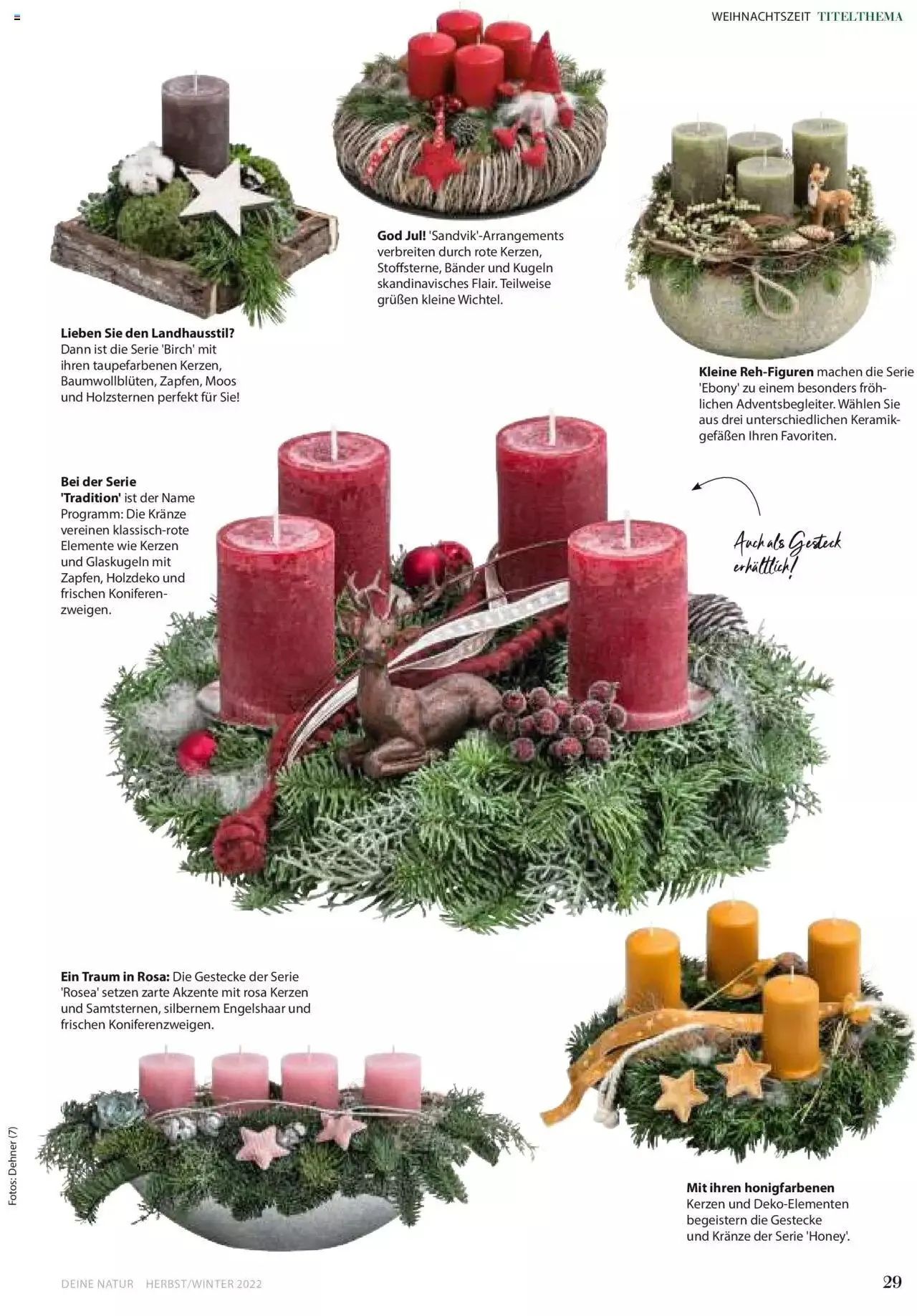 Dehner Flugblatt von 10. Oktober bis 31. Dezember 2023 - Flugblätt seite  29