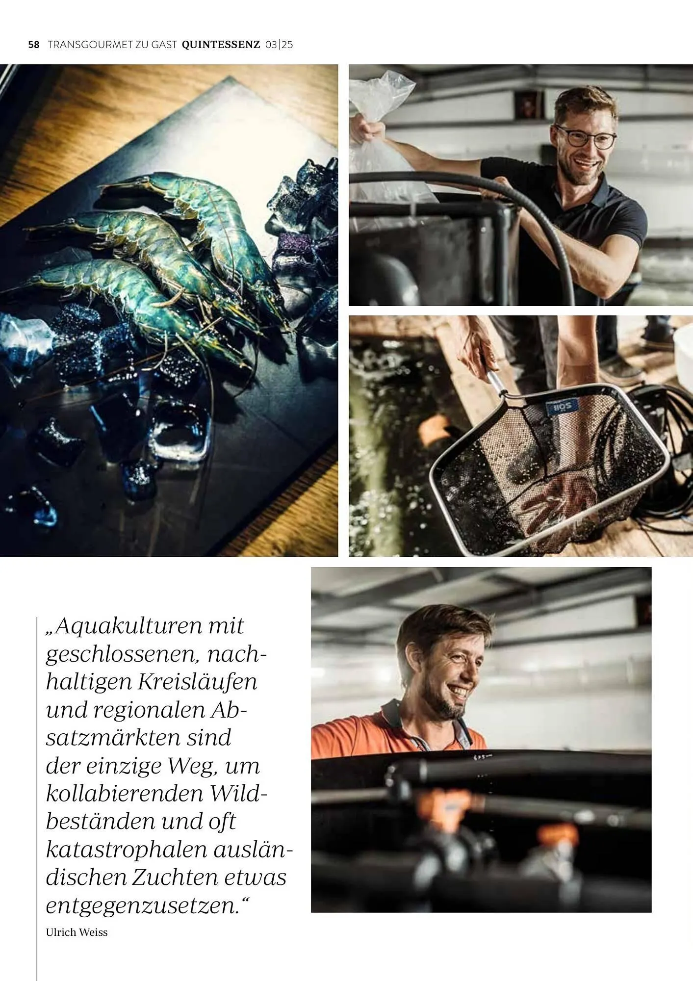 Transgourmet Flugblatt von 1. September bis 30. November 2025 - Flugblätt seite  60