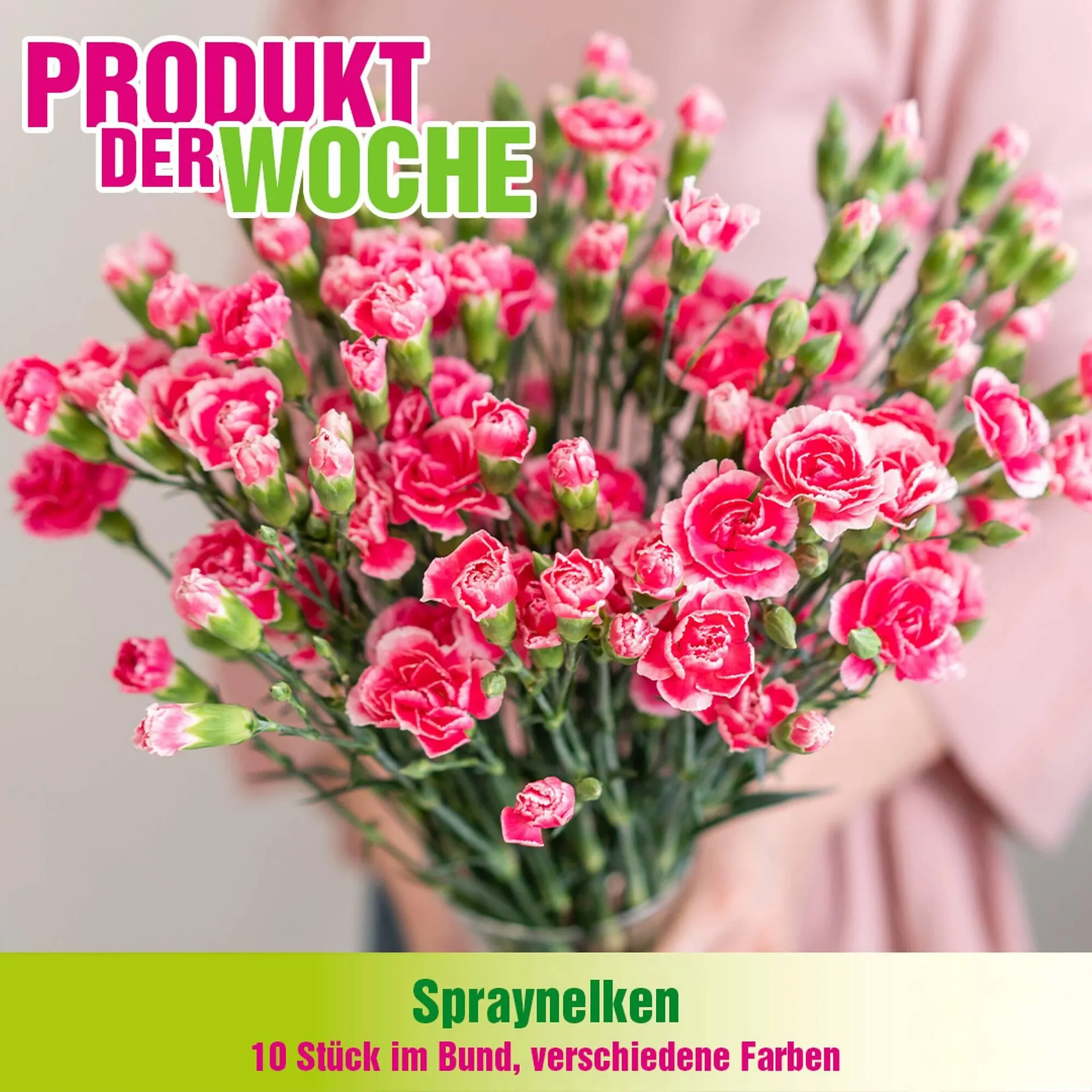 Blumen B&B Flugblatt von 3. Februar bis 9. Februar 2026 - Flugblätt seite  4