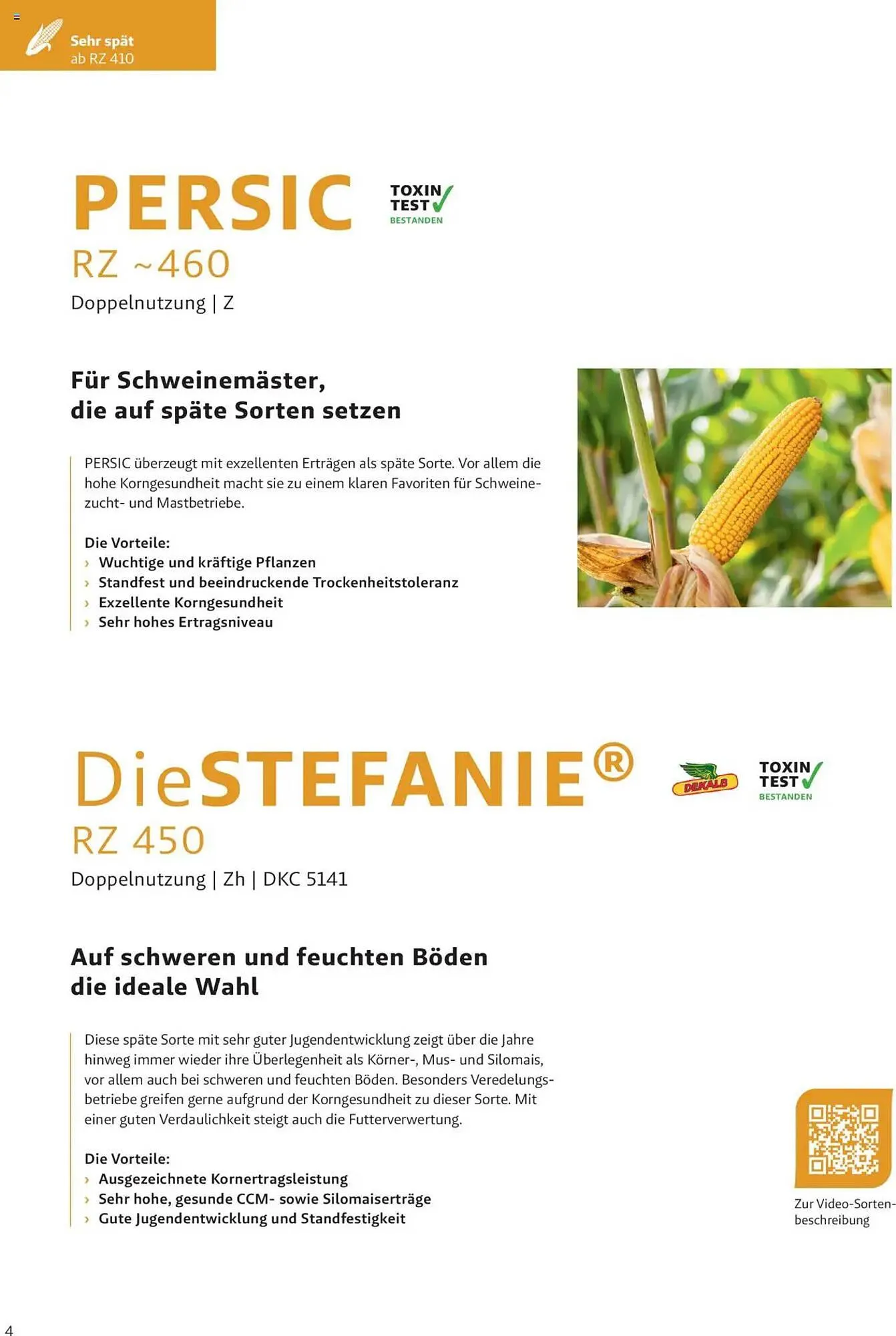 Lagerhaus Flugblatt von 4. Dezember bis 2. Juni 2025 - Flugblätt seite 4