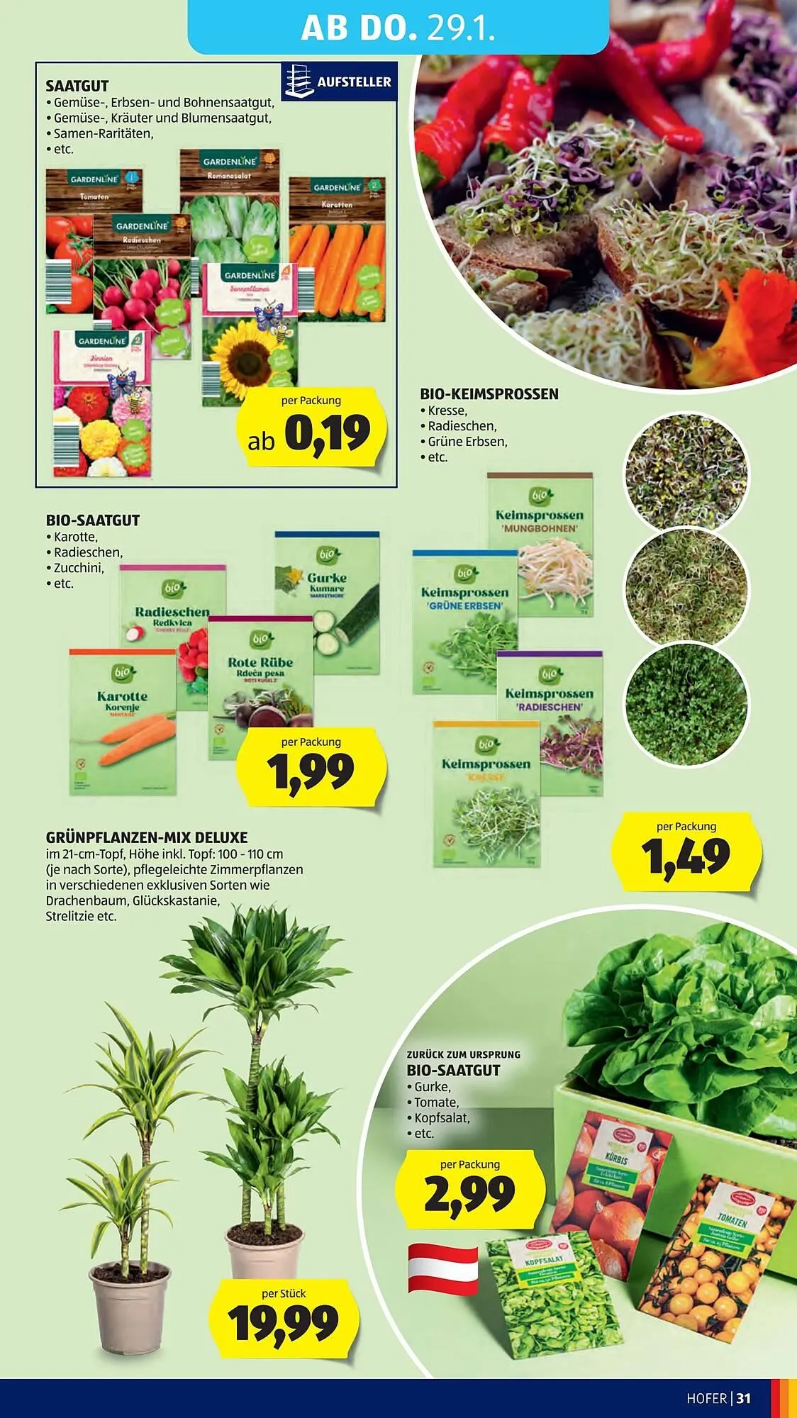 Hofer Flugblatt von 23. Jänner bis 30. Jänner 2026 - Flugblätt seite 35