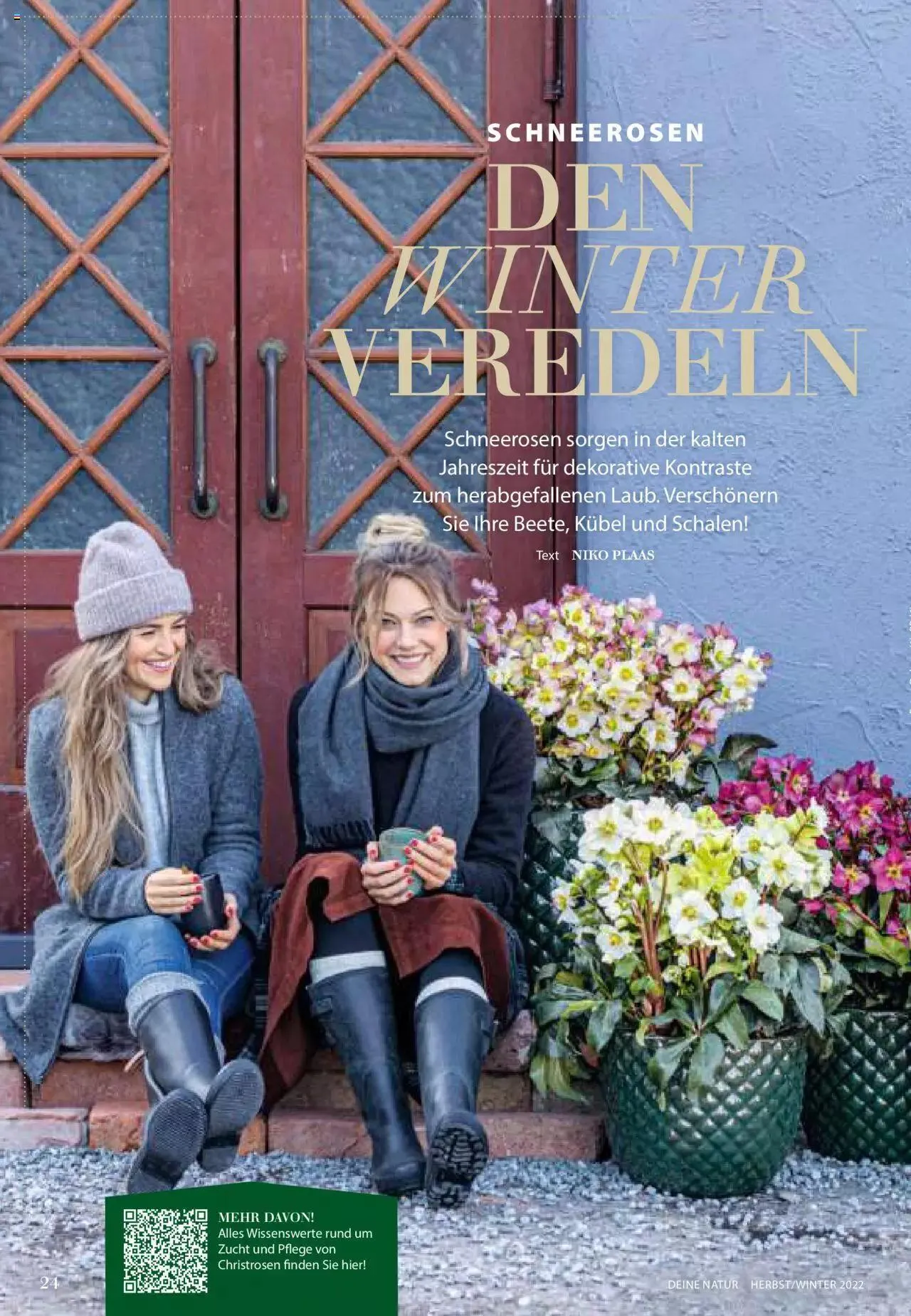 Dehner Flugblatt von 10. Oktober bis 31. Dezember 2023 - Flugblätt seite  24