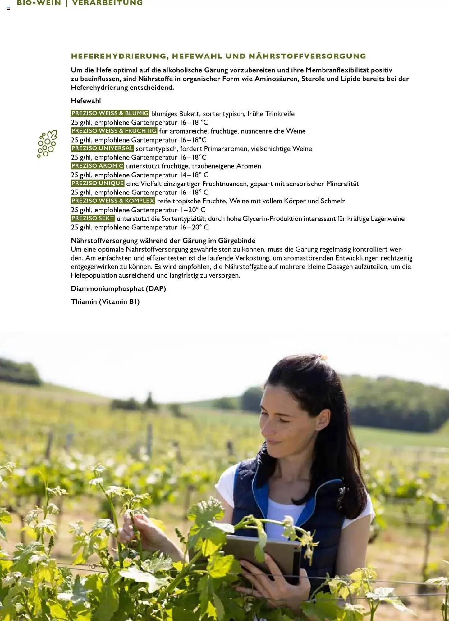 Lagerhaus Flugblatt von 21. Juli bis 31. Dezember 2026 - Flugblätt seite  18