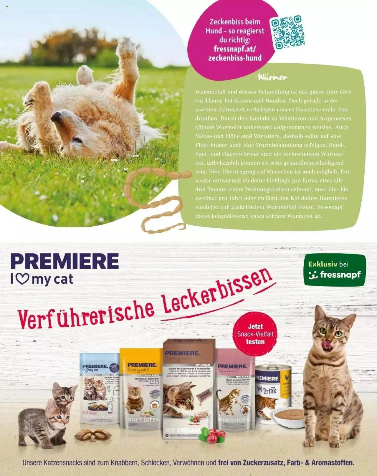 Fressnapf Friends 03/24 von 1. April bis 31. Dezember 2024 - Flugblätt seite  31