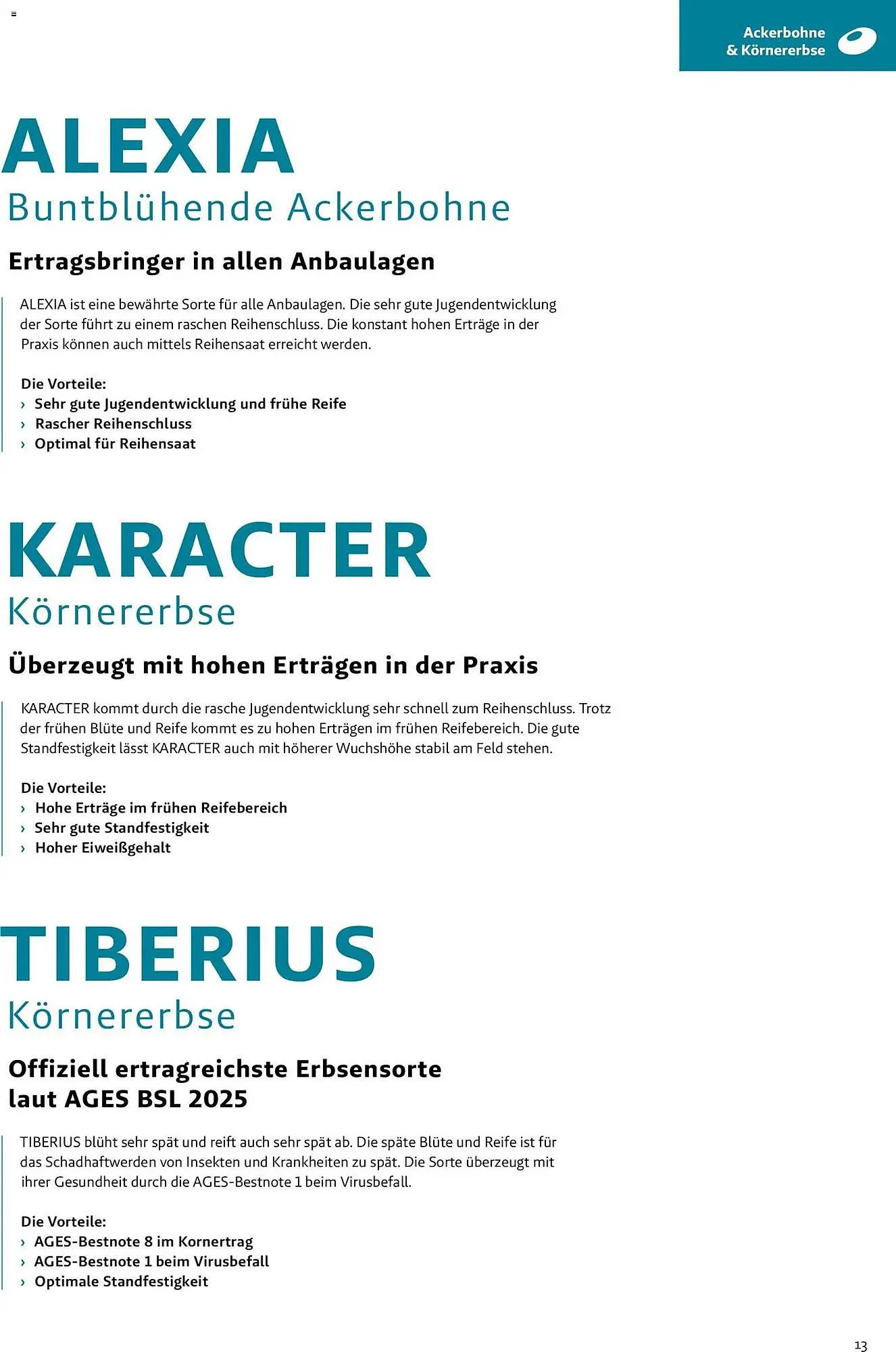 Lagerhaus Flugblatt von 1. März bis 31. Mai 2026 - Flugblätt seite  13