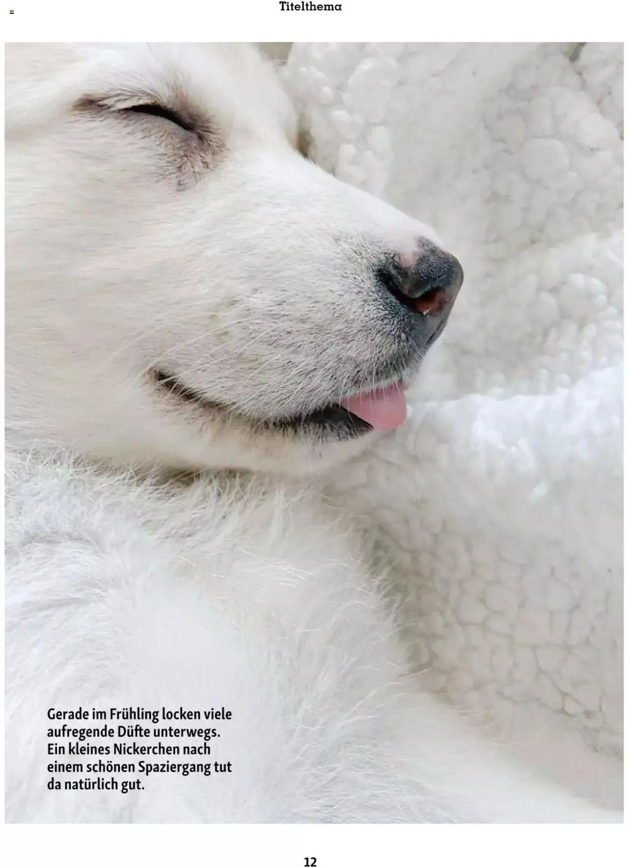 Fressnapf Friends 02/2023 von 1. März bis 31. Dezember 2023 - Flugblätt seite 12