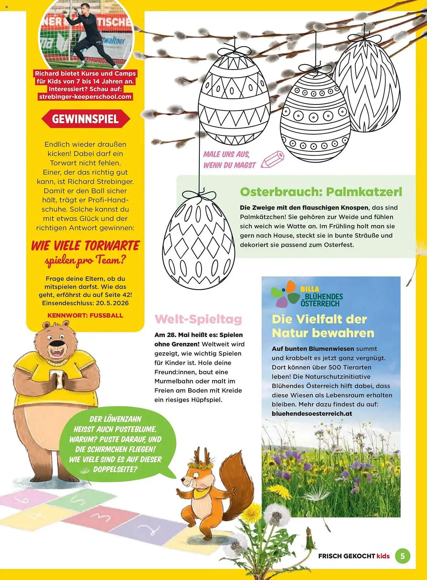 Billa Flugblatt von 1. März bis 31. Mai 2026 - Flugblätt seite  5