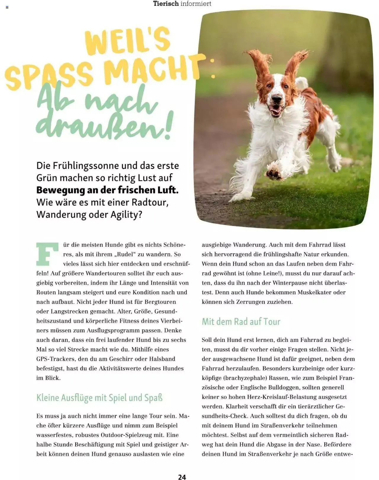 Fressnapf Friends 02/2023 von 1. März bis 31. Dezember 2023 - Flugblätt seite 24