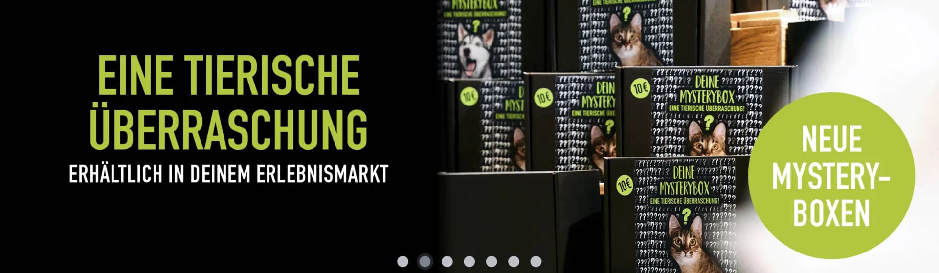 MegaZoo Flugblatt von 11. November bis 17. November 2025 - Flugblätt seite  2