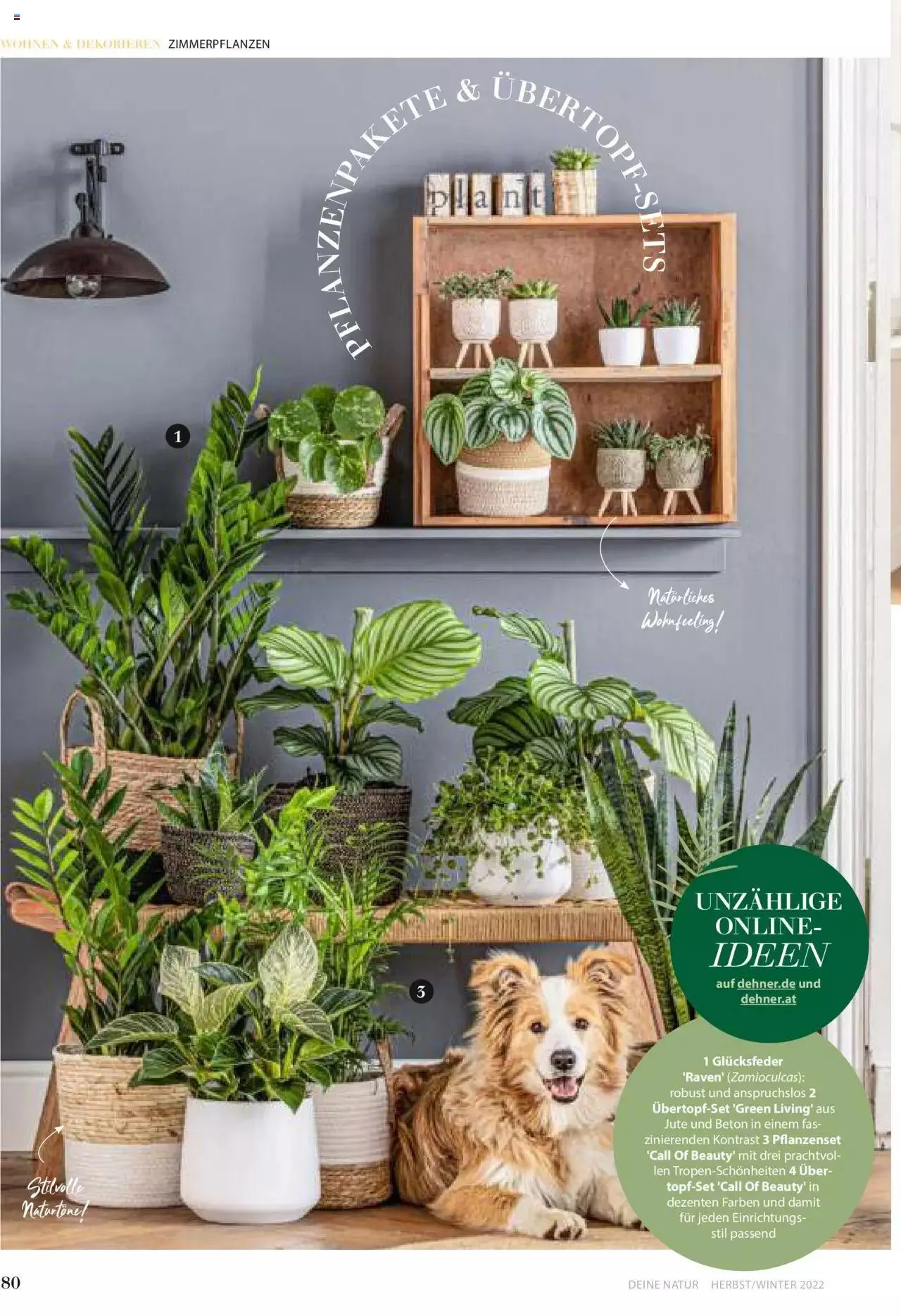 Dehner Flugblatt von 10. Oktober bis 31. Dezember 2023 - Flugblätt seite 80