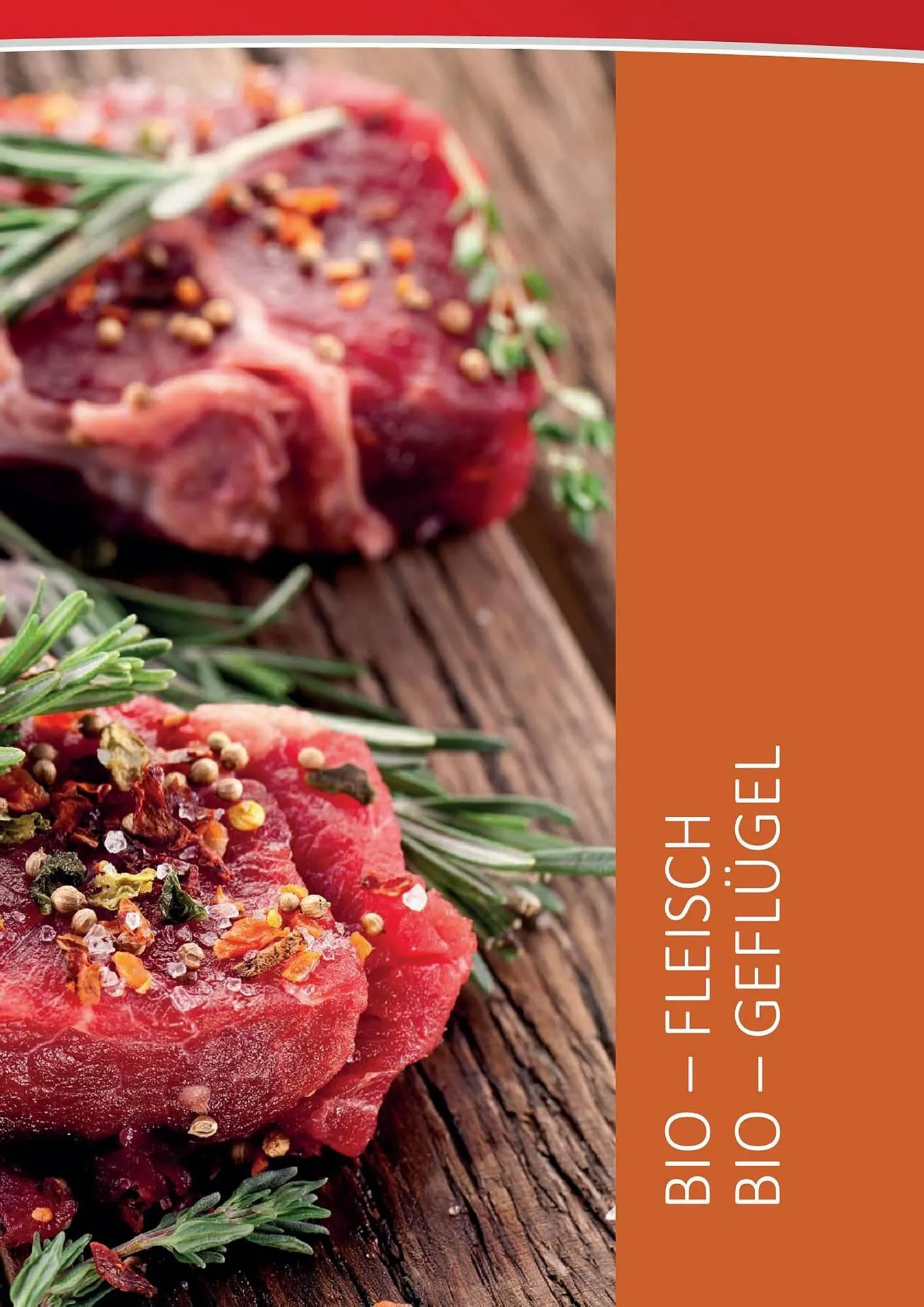 Kastner Flugblatt von 15. September bis 30. Dezember 2023 - Flugblätt seite  51