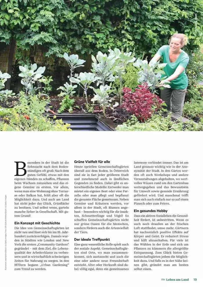 Nr. 1 - Lagerhaus Magazin 2025 von 28. Jänner bis 11. Februar 2025 - Flugblätt seite  19