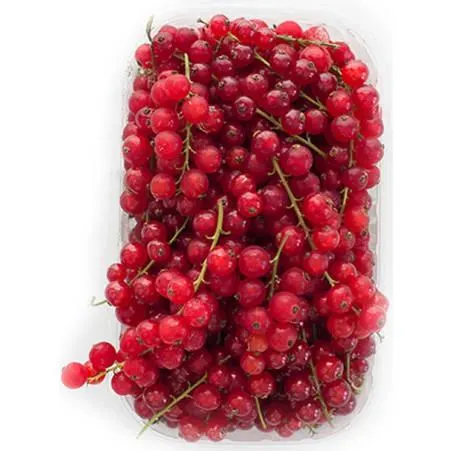 Ribisel rot 500 gr