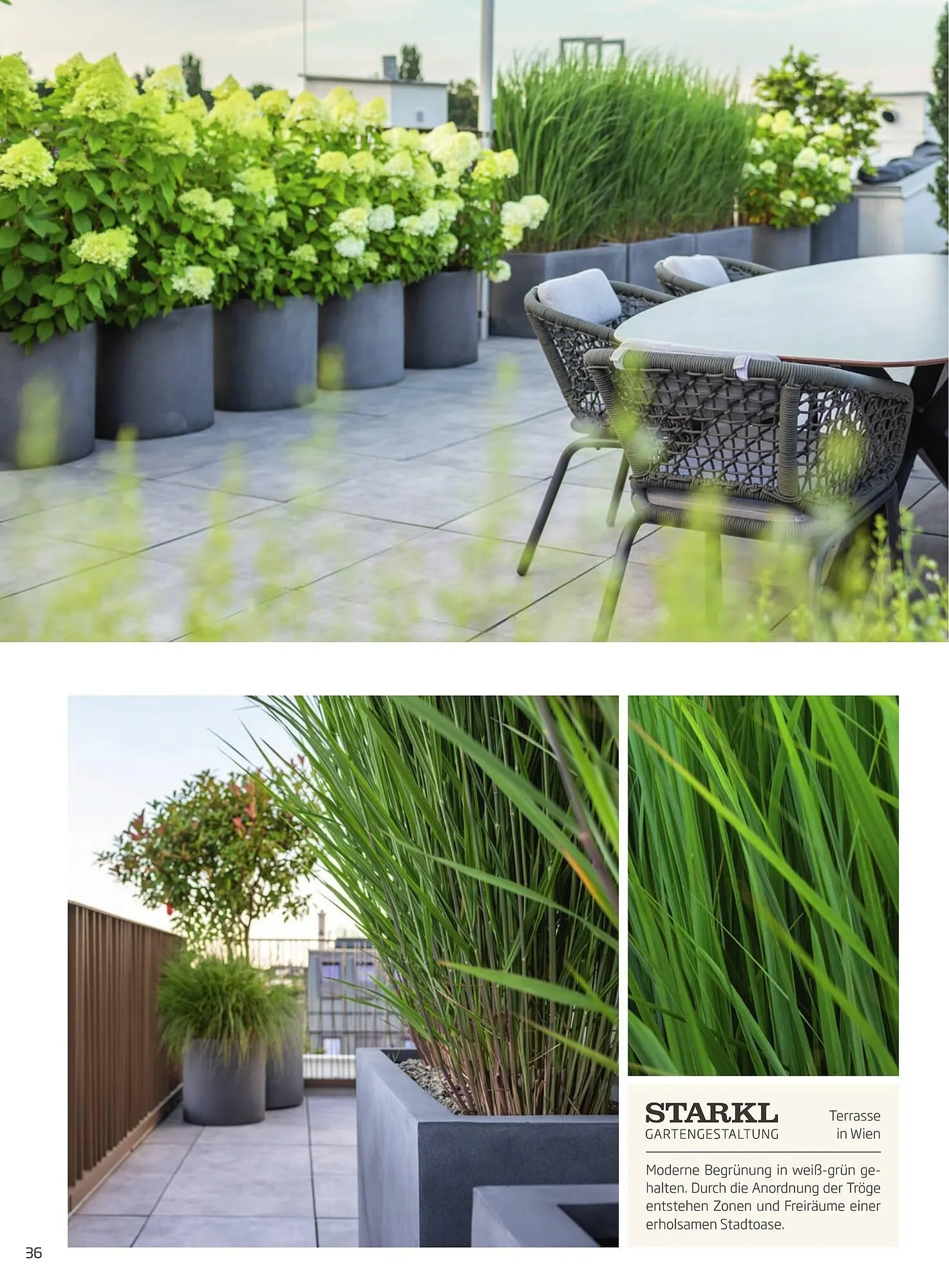 Starkl Flugblatt von 6. Juni bis 31. Dezember 2025 - Flugblätt seite 36