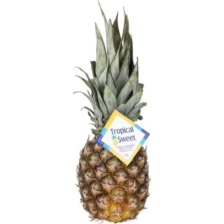Ananas