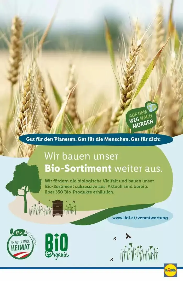 Große Auswahl an Angeboten von 21. November bis 27. November 2024 - Flugblätt seite 46