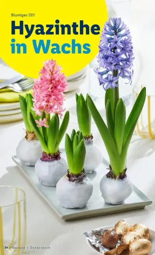 Lidl Flugblatt - Deluxe Ostern von 1. März bis 4. April 2026 - Flugblätt seite 64