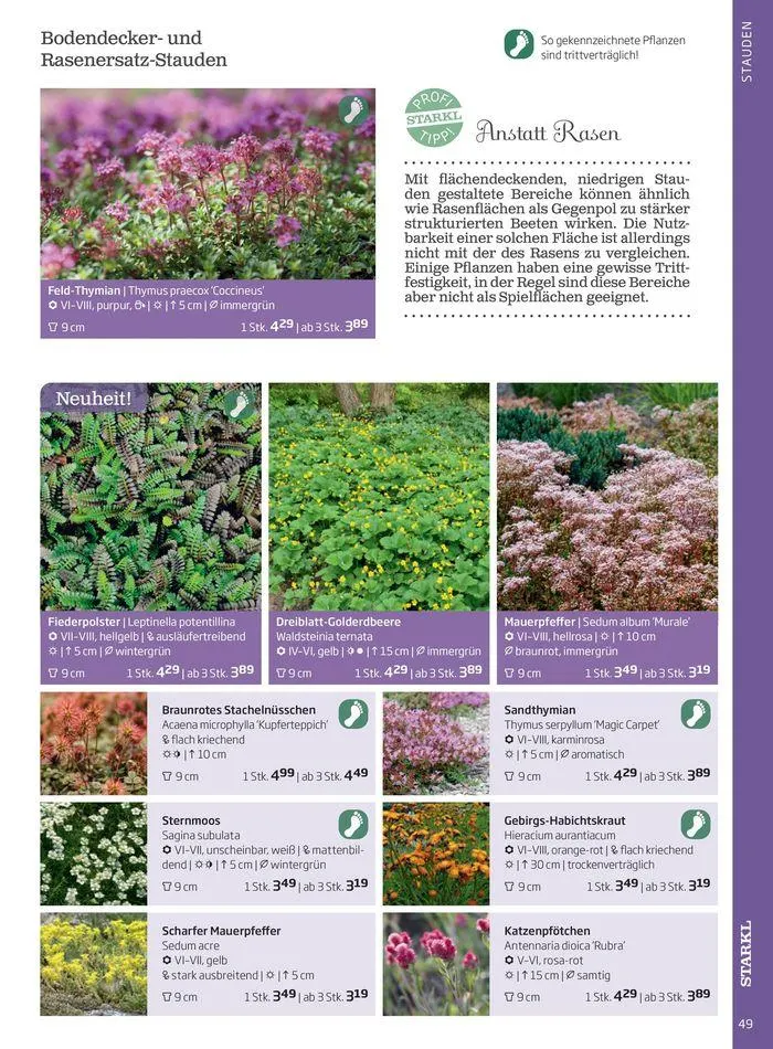 Gartencenter Jahreskatalog 2024 von 20. Mai bis 31. Dezember 2024 - Flugblätt seite  49