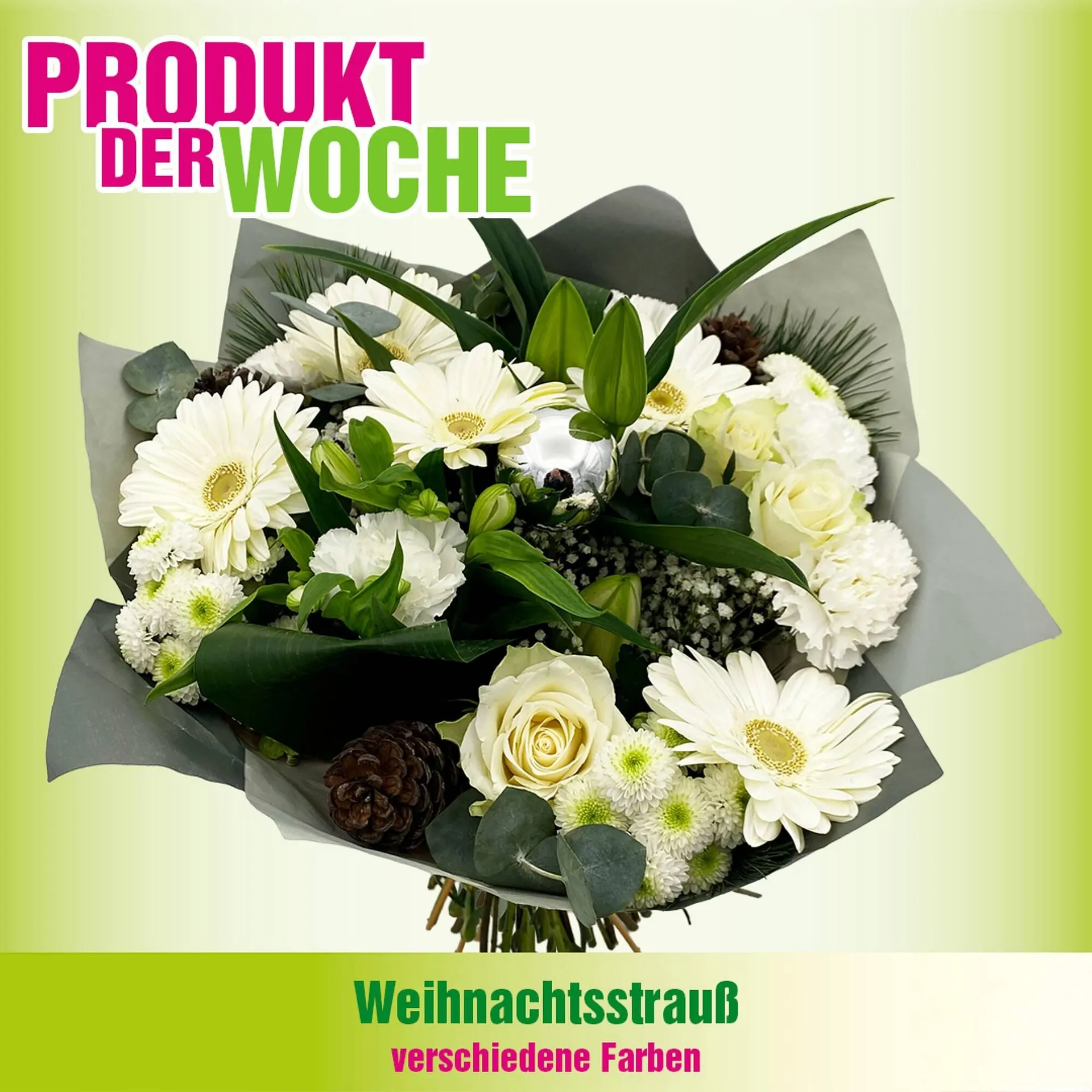 Blumen B&B Flugblatt von 23. Dezember bis 29. Dezember 2025 - Flugblätt seite 1