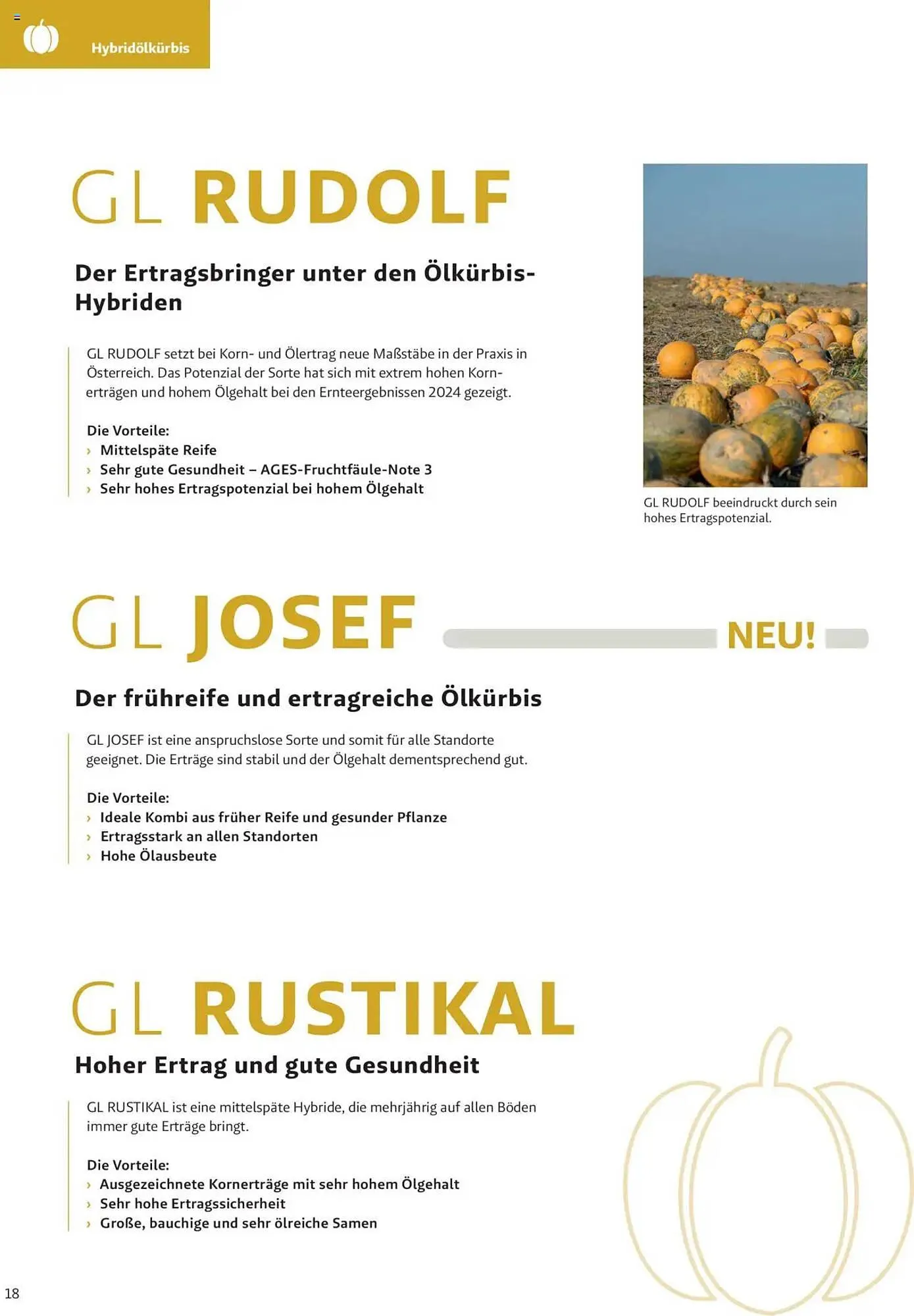 Lagerhaus Flugblatt von 4. Dezember bis 2. Juni 2025 - Flugblätt seite 18