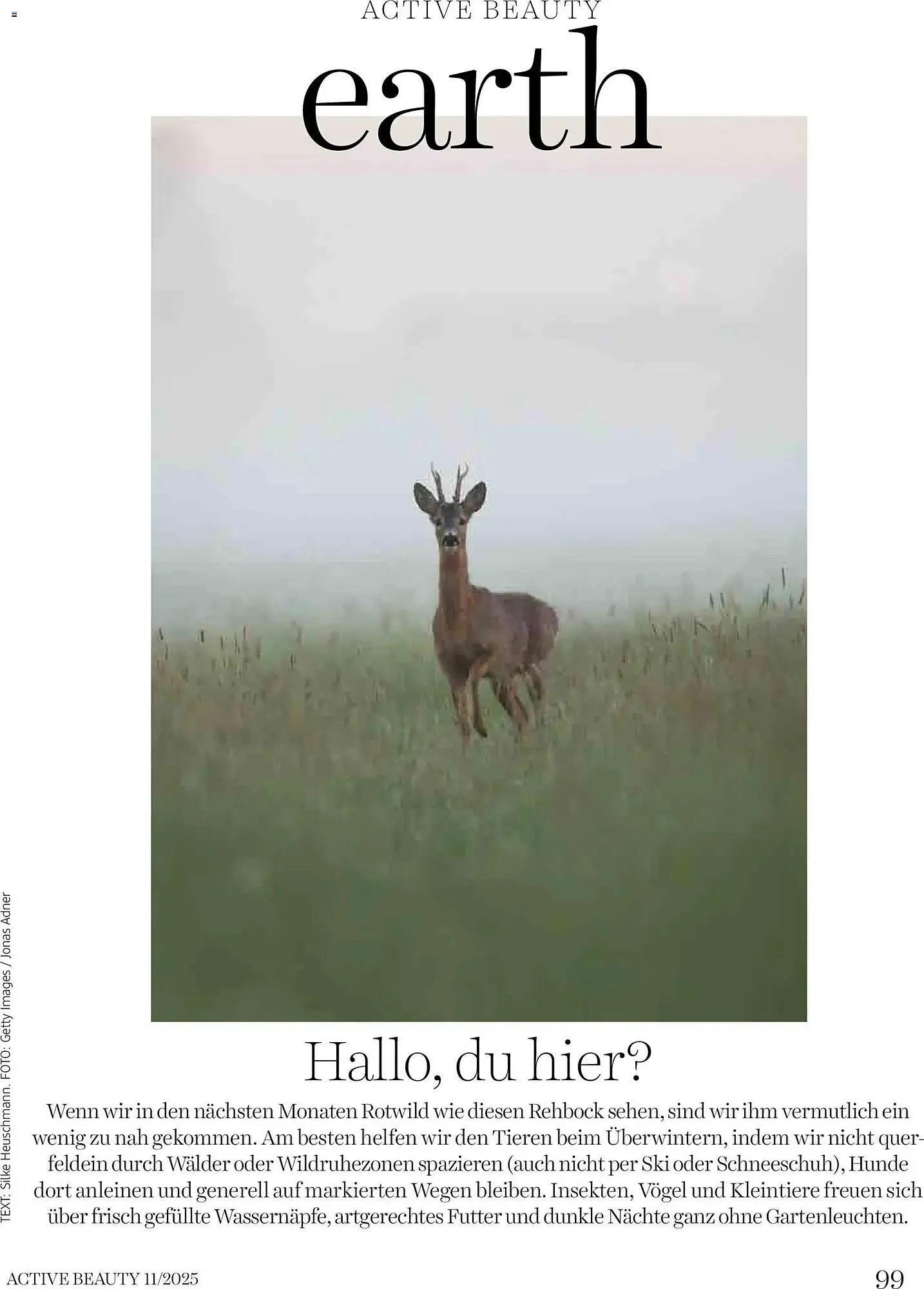 Dm Flugblatt von 1. November bis 30. November 2025 - Flugblätt seite  99