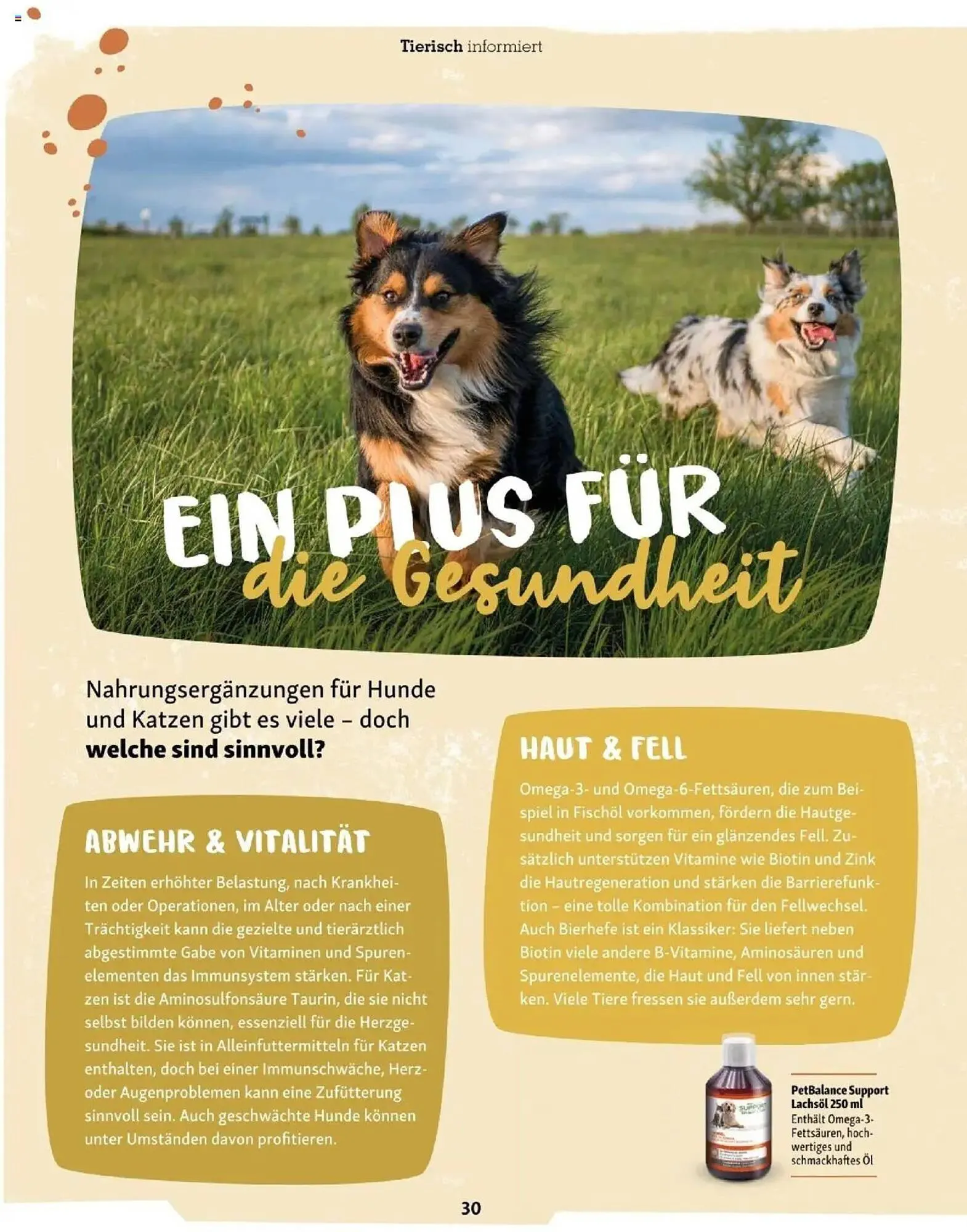 Fressnapf Flugblatt von 1. September bis 31. Oktober 2025 - Flugblätt seite  30