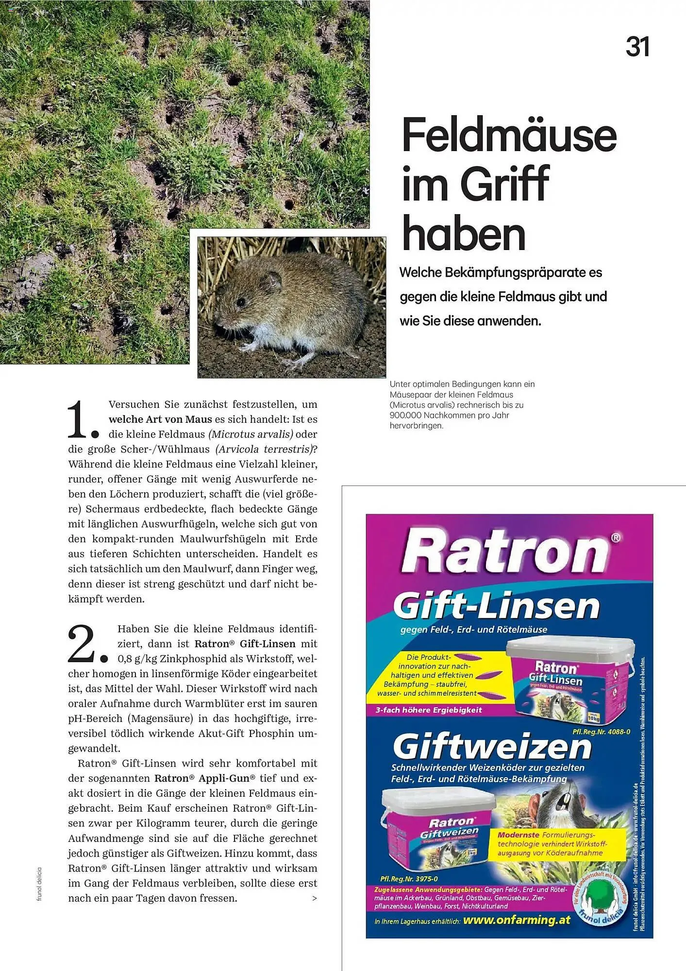 Lagerhaus Flugblatt von 2. März bis 31. März 2026 - Flugblätt seite 31