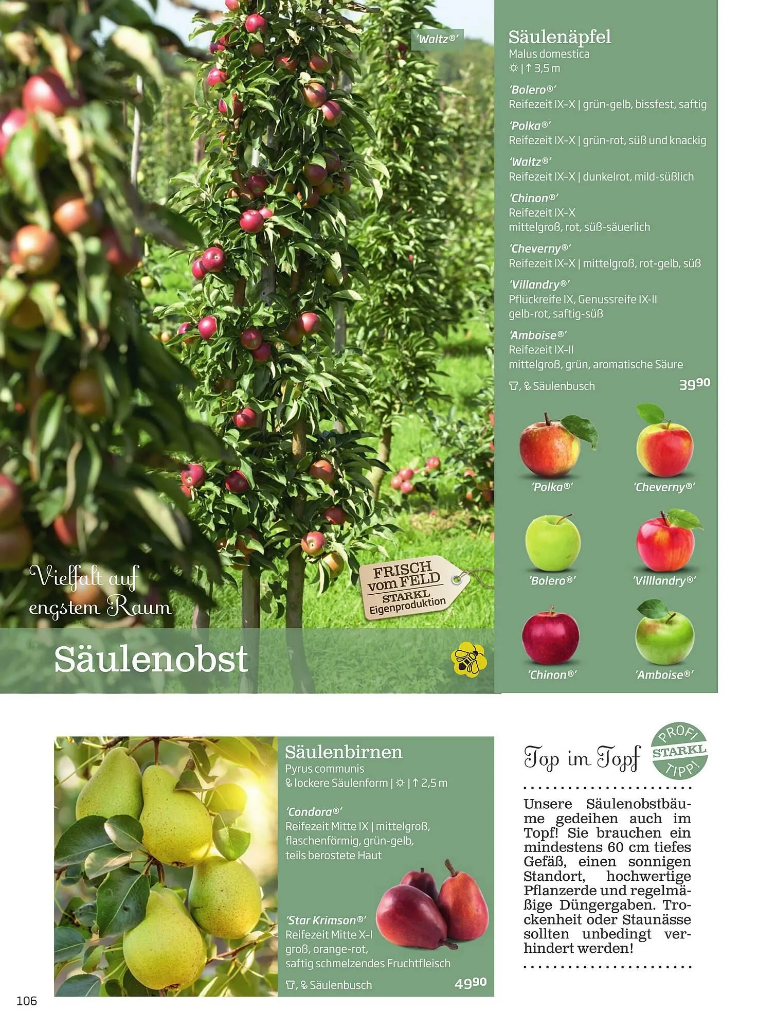 Starkl Flugblatt von 6. Juni bis 31. Dezember 2025 - Flugblätt seite 106