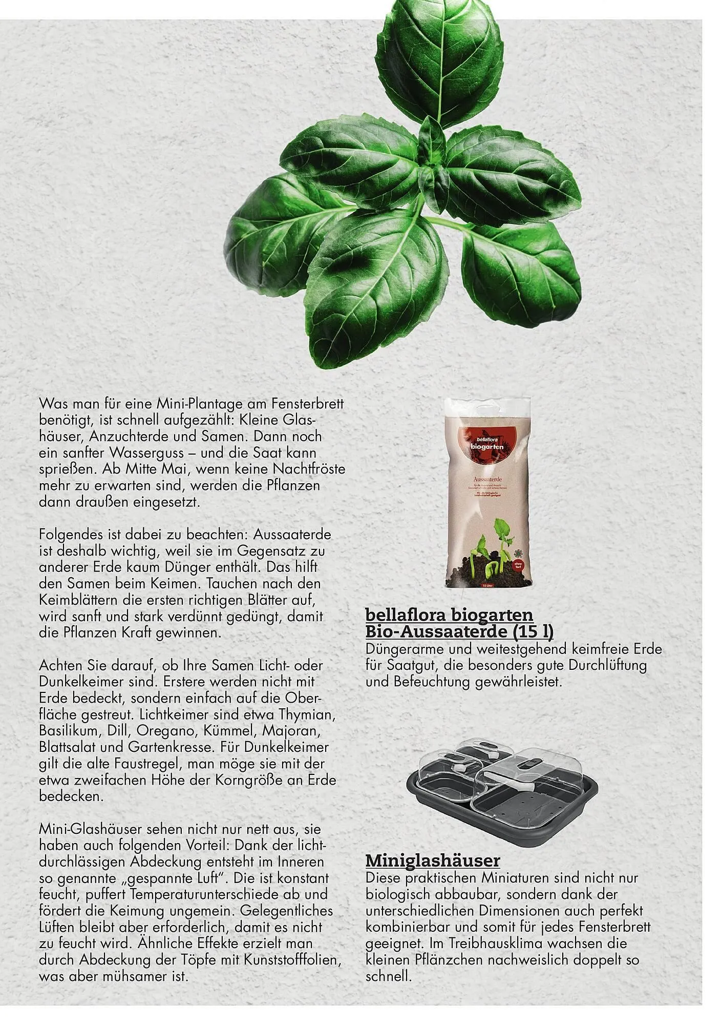 Bellaflora Flugblatt von 3. Jänner bis 31. Mai 2025 - Flugblätt seite 5