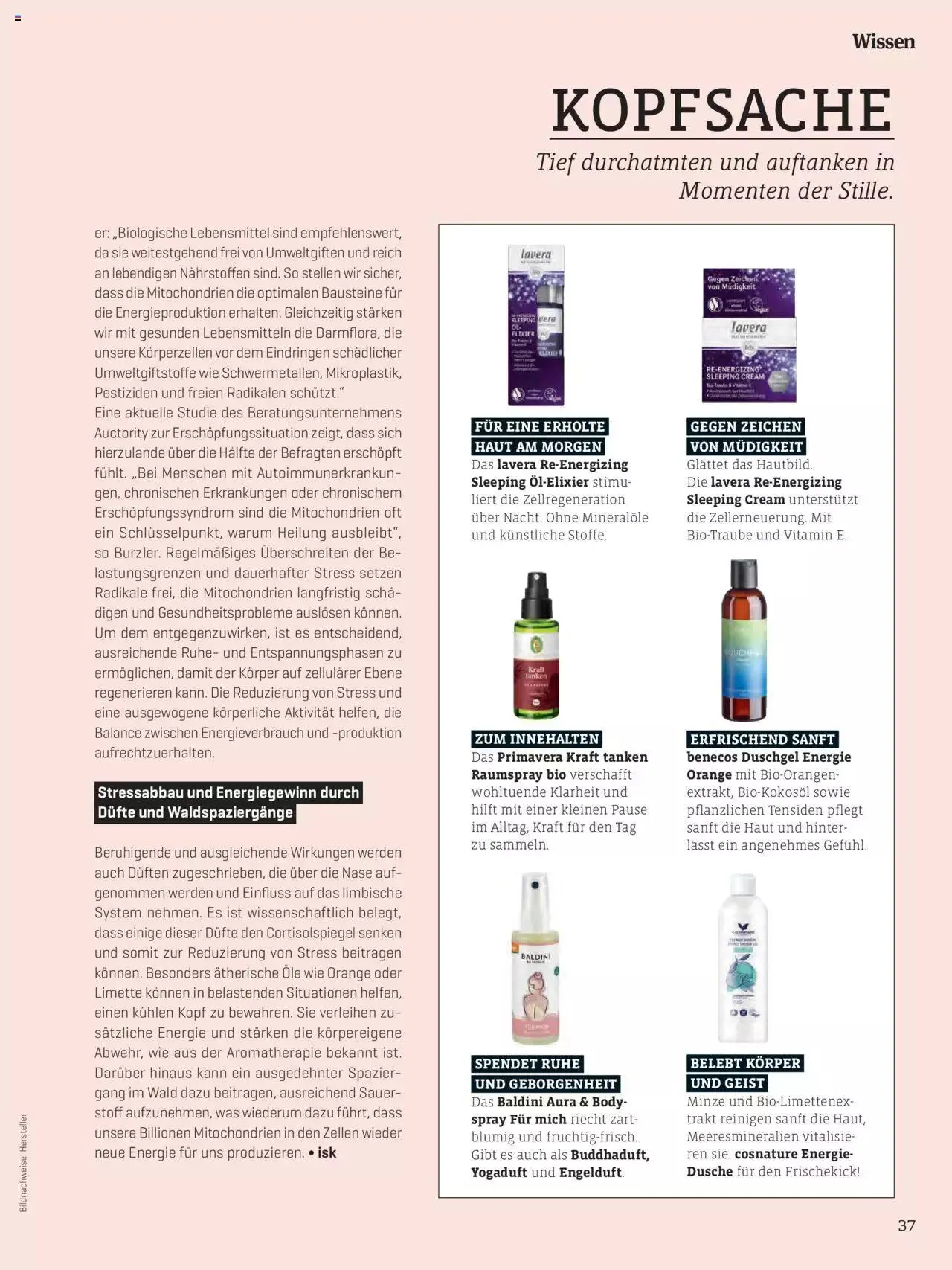 Denns BioMarkt KREO Magazin von 14. Februar bis 3. März 2024 - Flugblätt seite 37