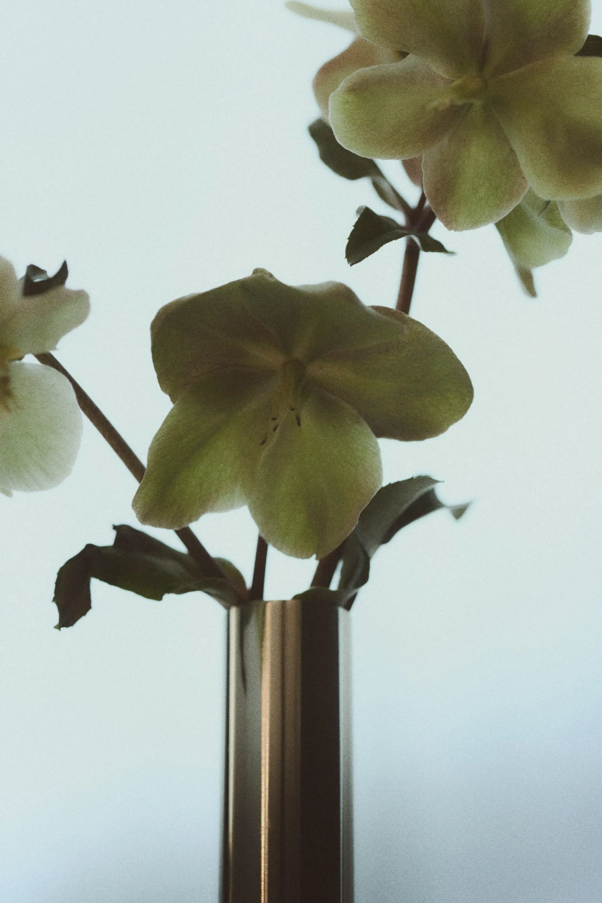 Hohe Knospenvase aus Edelstahl