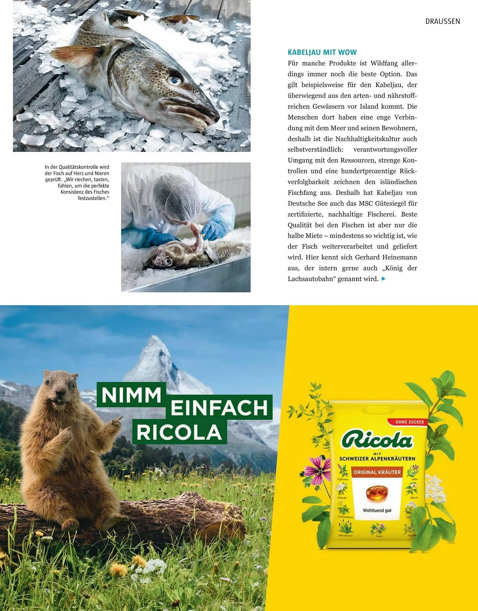 Sutterlüty Flugblatt von 19. November bis 9. Dezember 2024 - Flugblätt seite 152