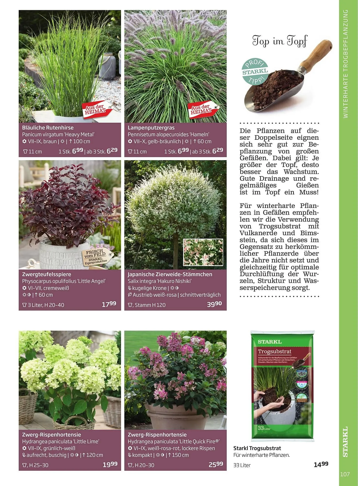 Starkl Flugblatt von 1. Jänner bis 31. Dezember 2023 - Flugblätt seite 107