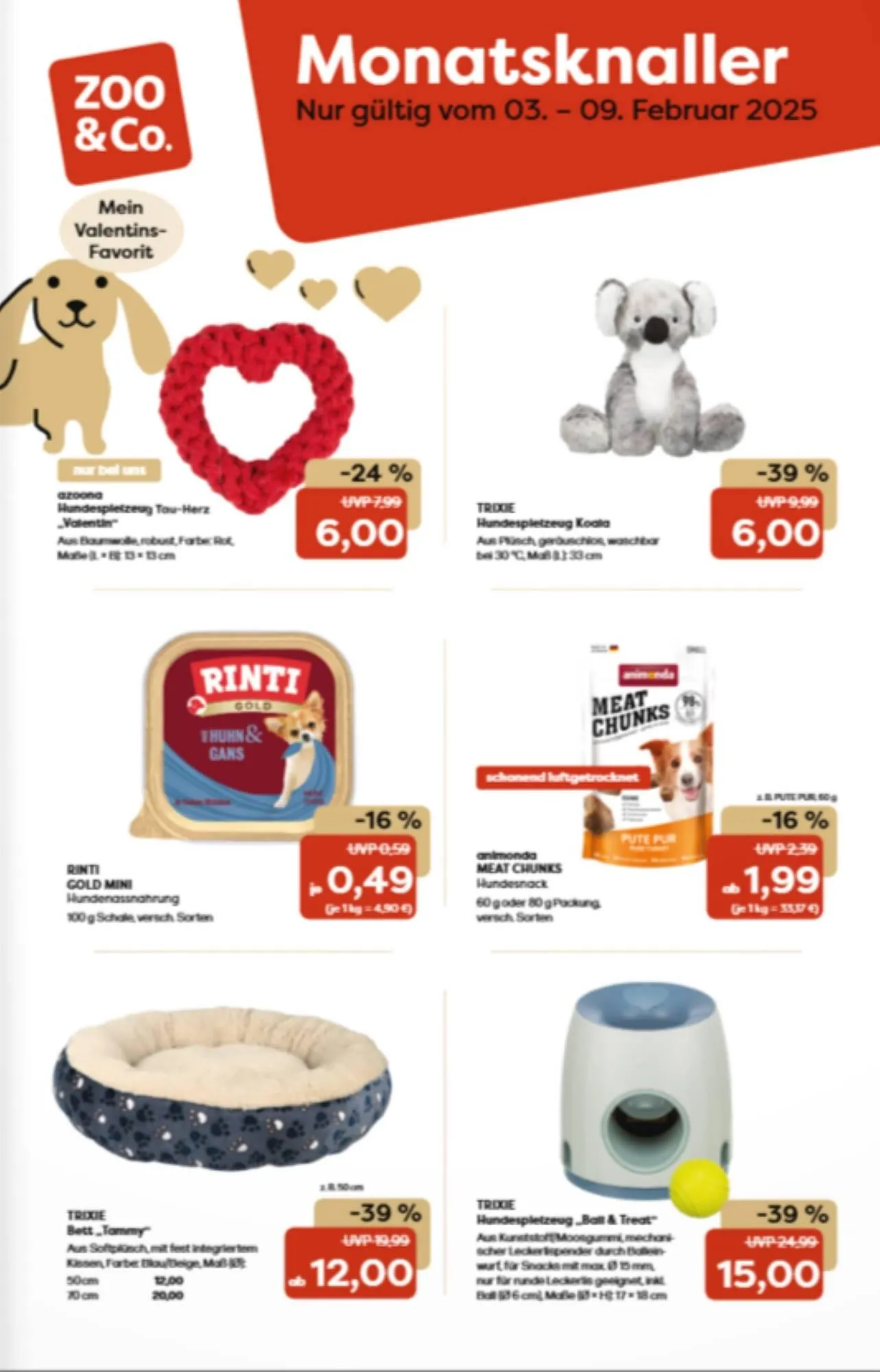 ZOO & Co Flugblatt - 1