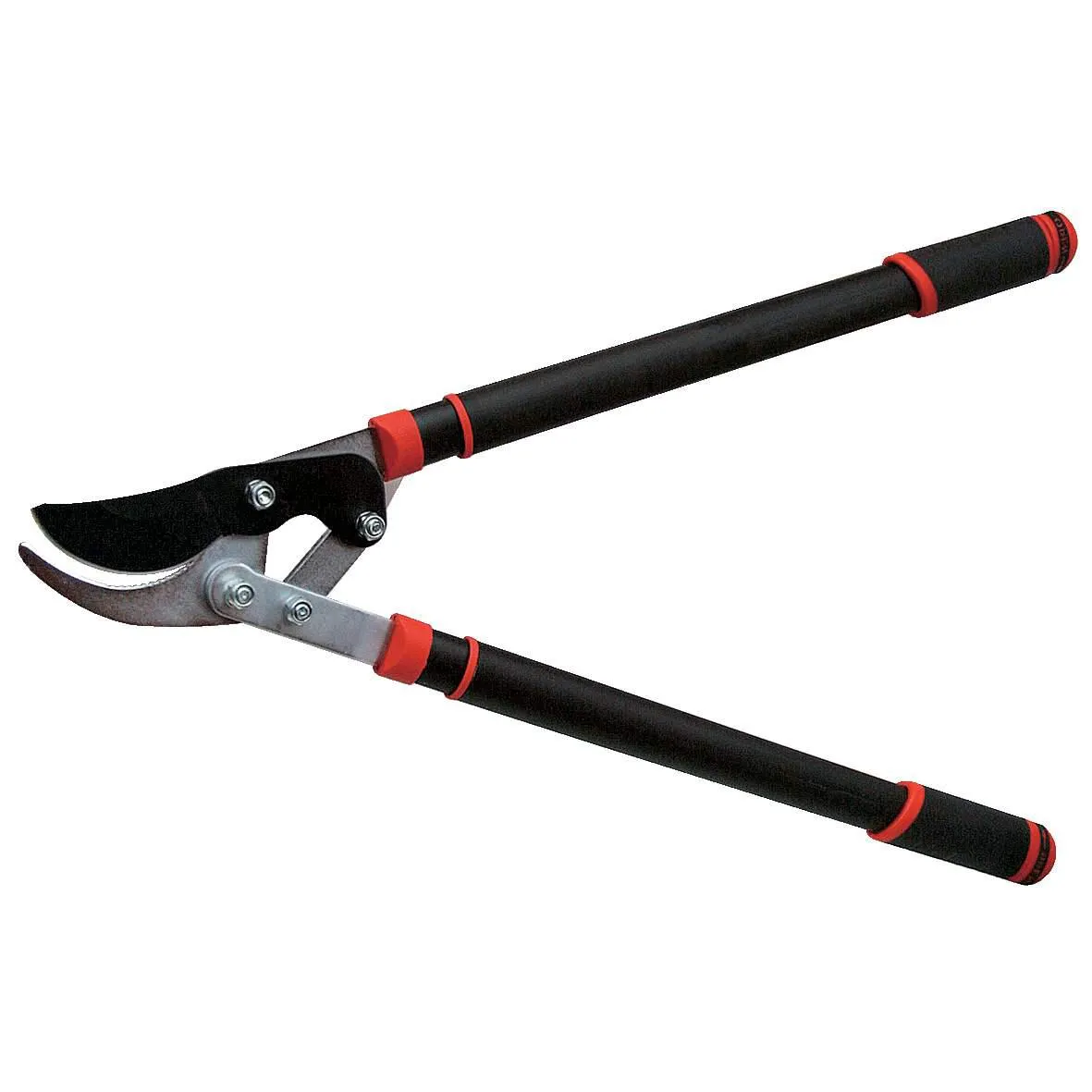 Astschere 2-schneidig m. Teleskopgriff