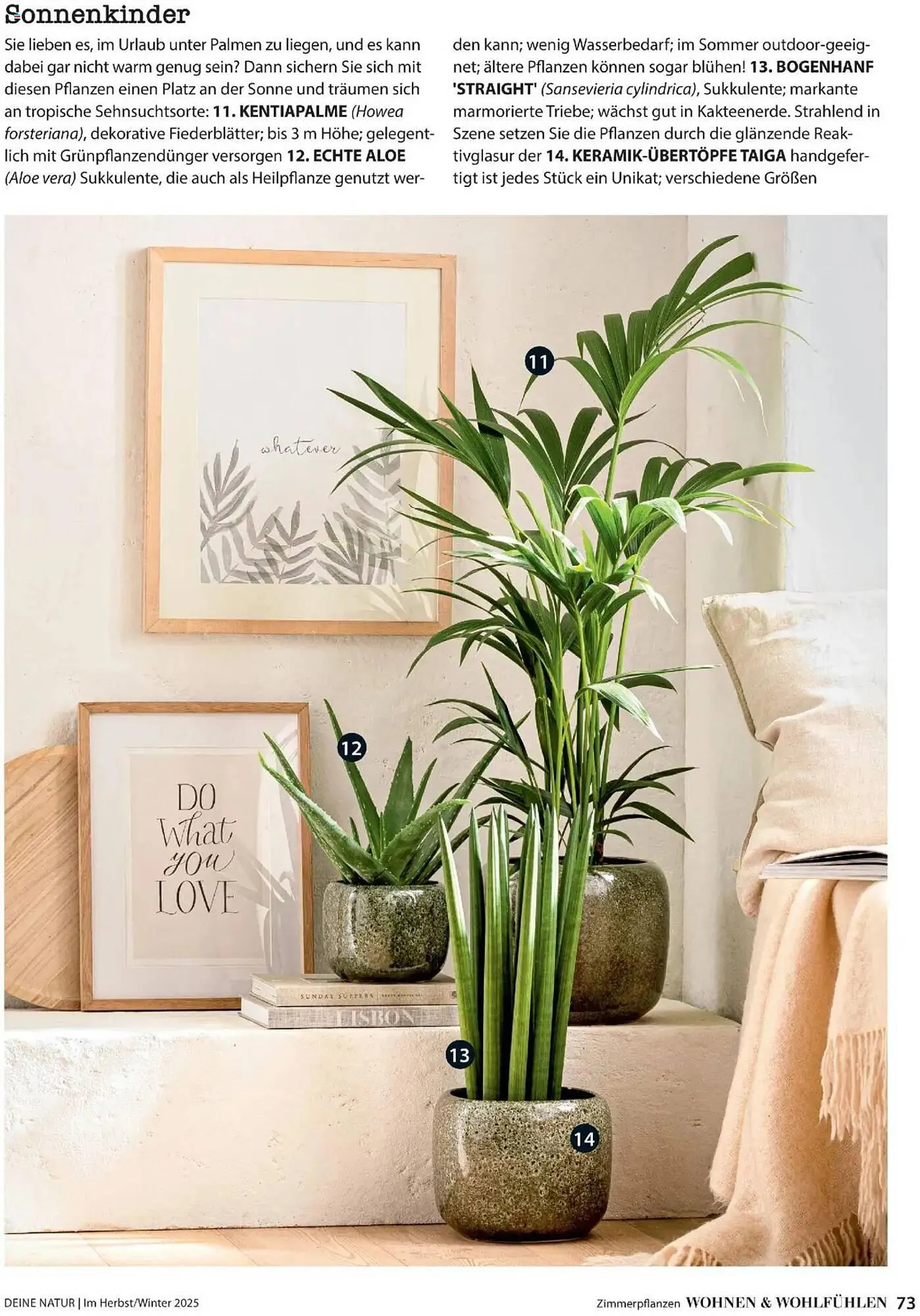 Dehner Flugblatt von 10. Oktober bis 30. November 2025 - Flugblätt seite  73