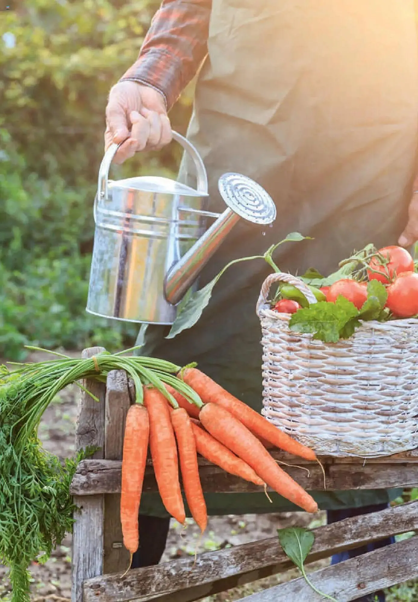 Dehner Prospekt von 1. Januar bis 31. Dezember 2025 - Prospekt seite 2