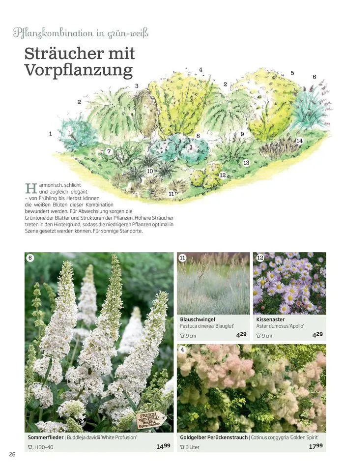 Gartencenter Jahreskatalog 2024 von 20. Mai bis 31. Dezember 2024 - Flugblätt seite  26