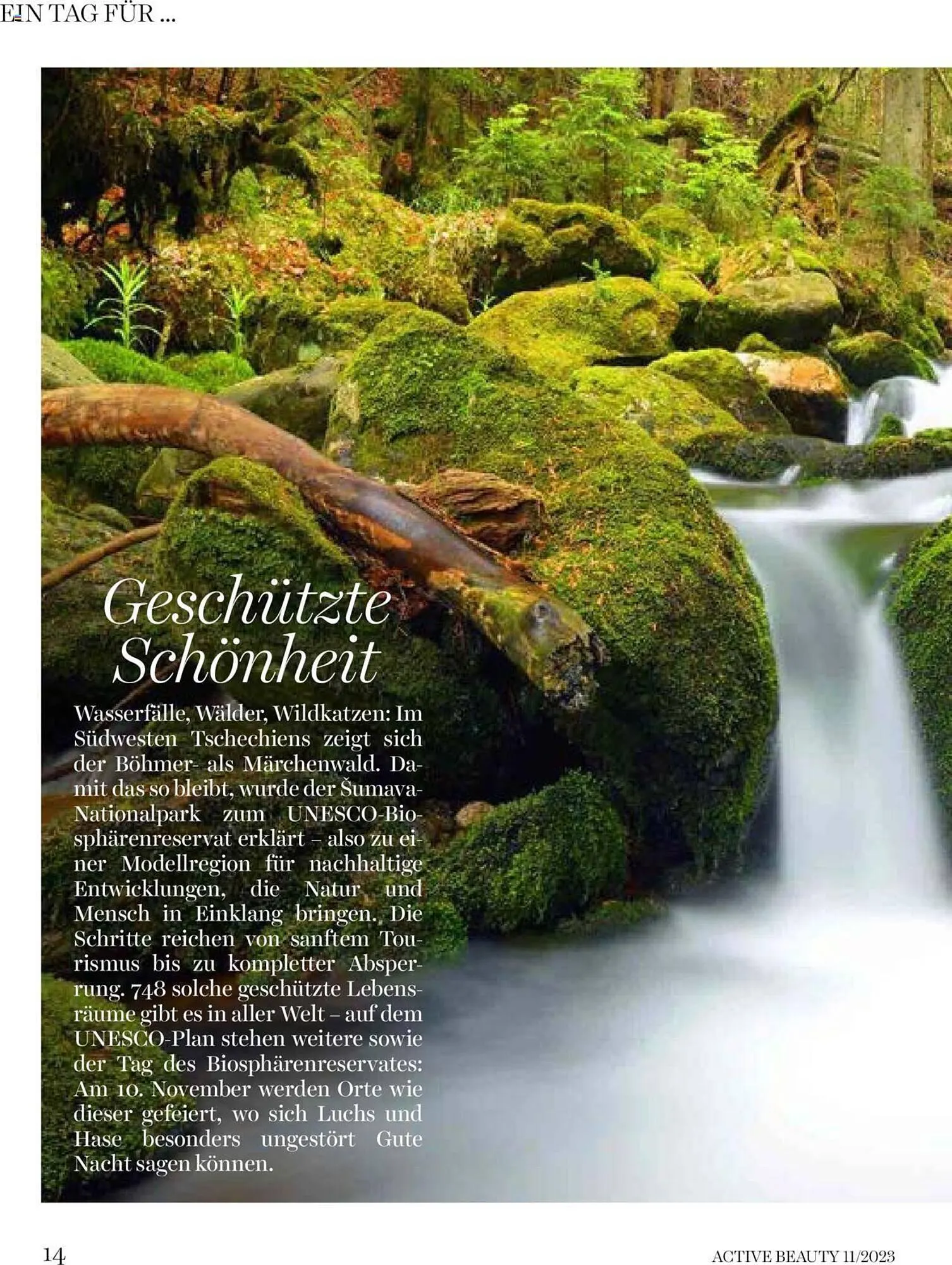 dm Flugblatt von 1. November bis 1. Dezember 2023 - Flugblätt seite 14