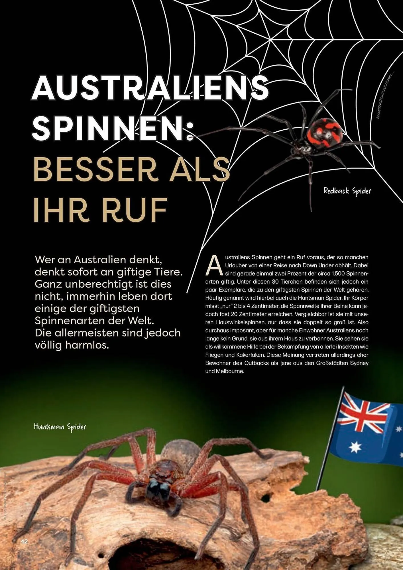 ZOO & Co Flugblatt von 30. August bis 8. November 2024 - Flugblätt seite  42