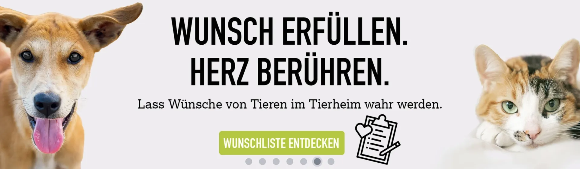 MegaZoo Flugblatt von 11. November bis 17. November 2025 - Flugblätt seite  6