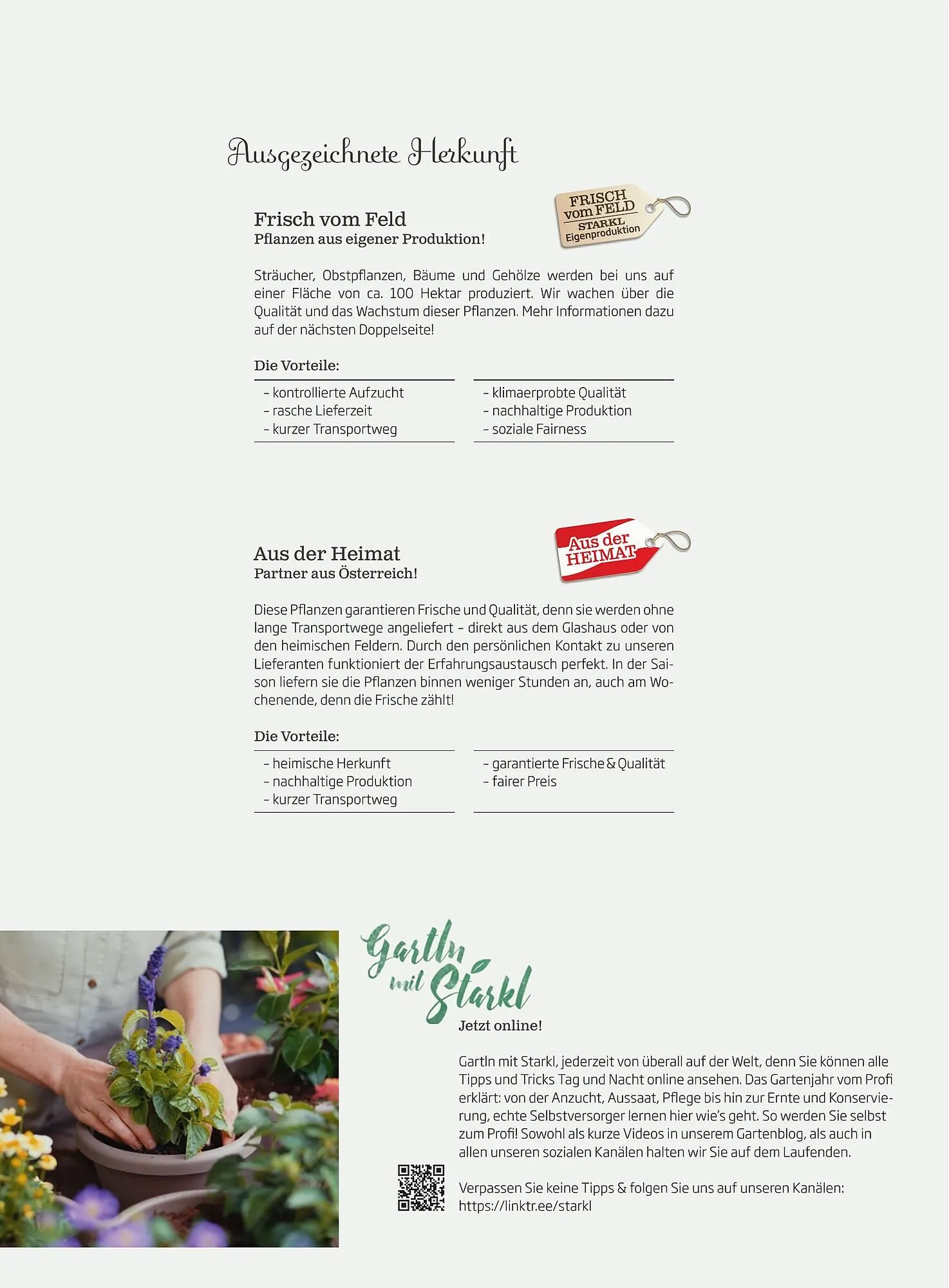 Starkl Flugblatt von 6. Juni bis 31. Dezember 2025 - Flugblätt seite 2