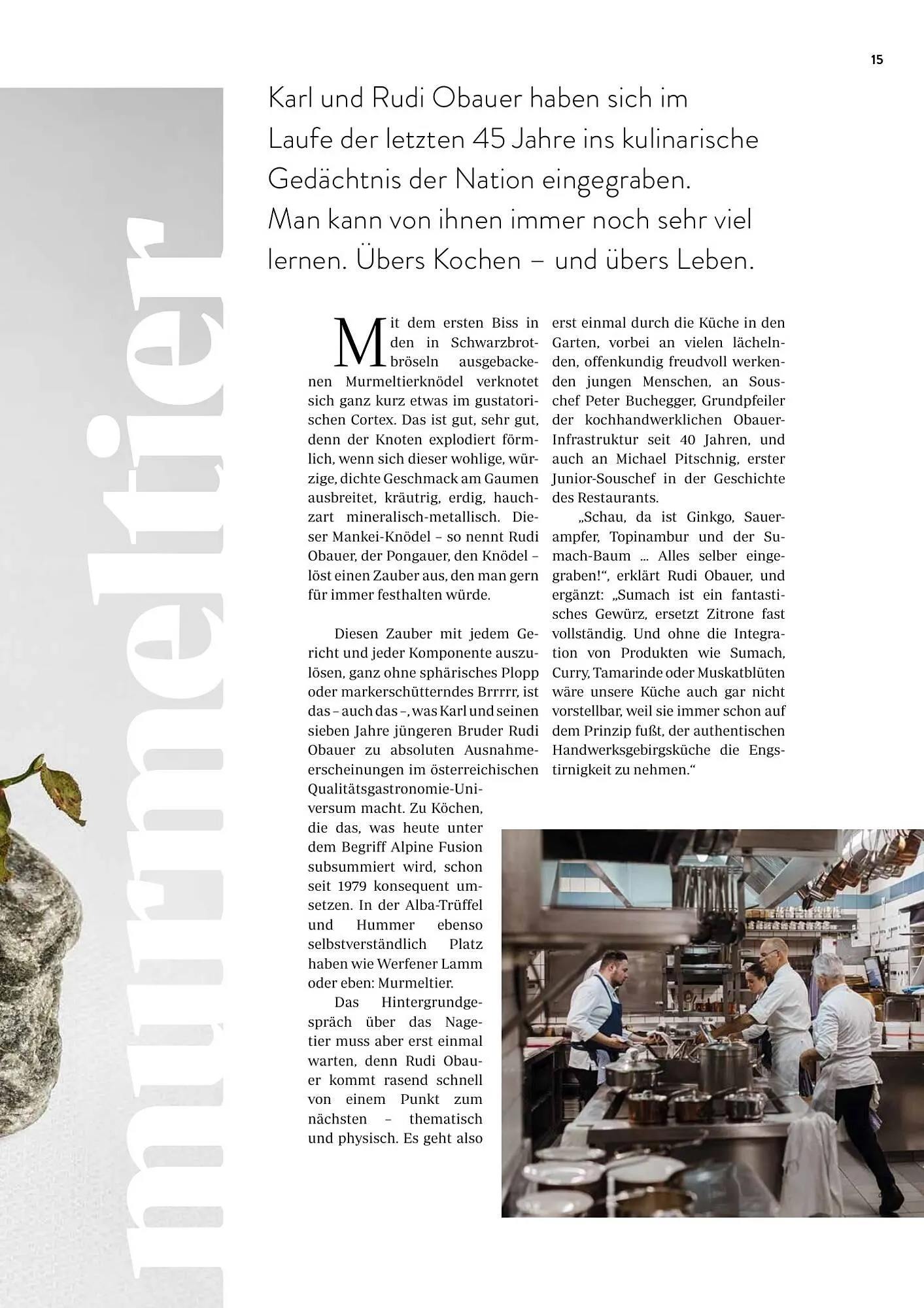 Transgourmet Flugblatt von 13. November bis 31. Dezember 2025 - Flugblätt seite  17