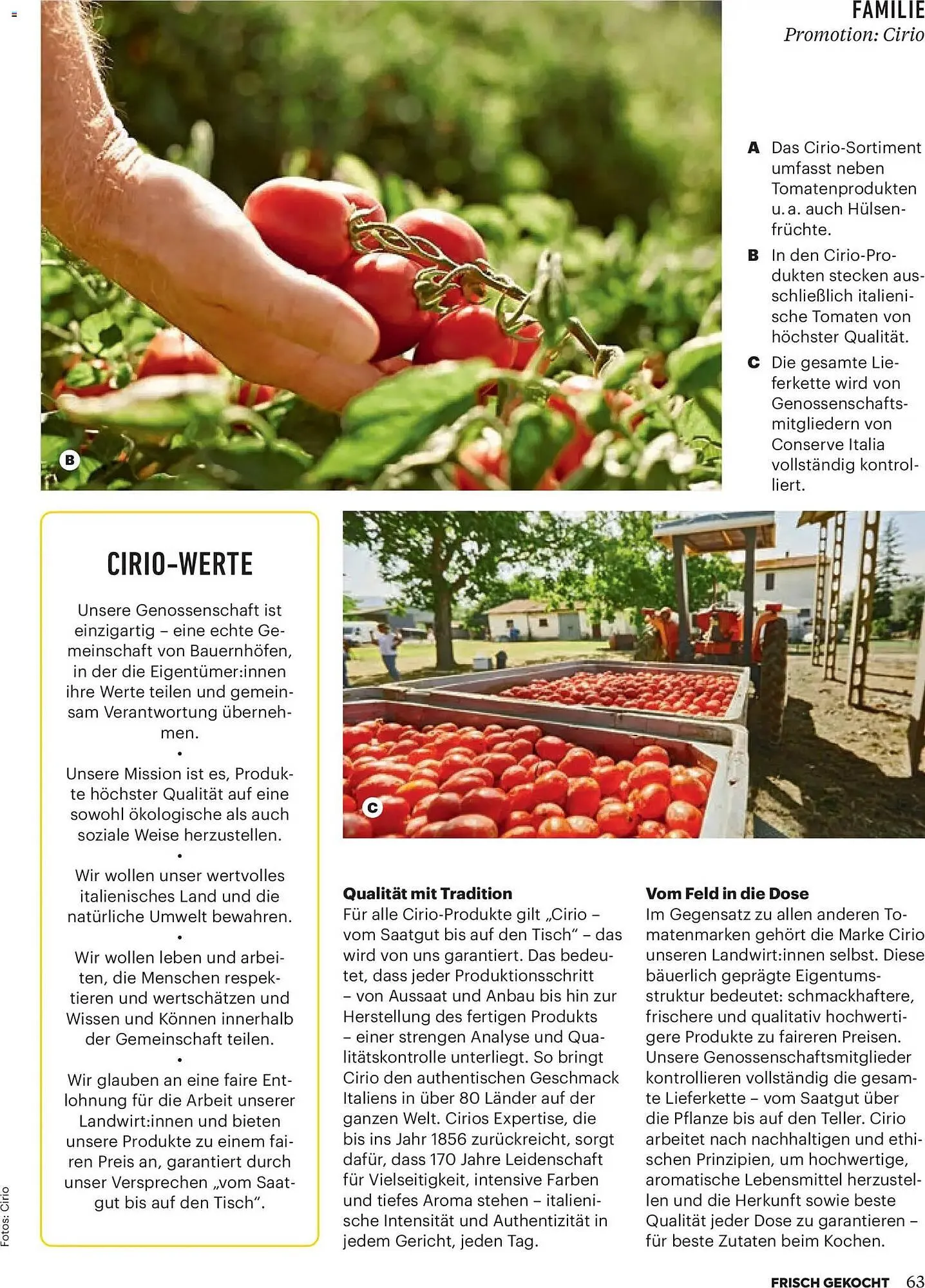 Billa Flugblatt von 1. Jänner bis 28. Februar 2026 - Flugblätt seite  59