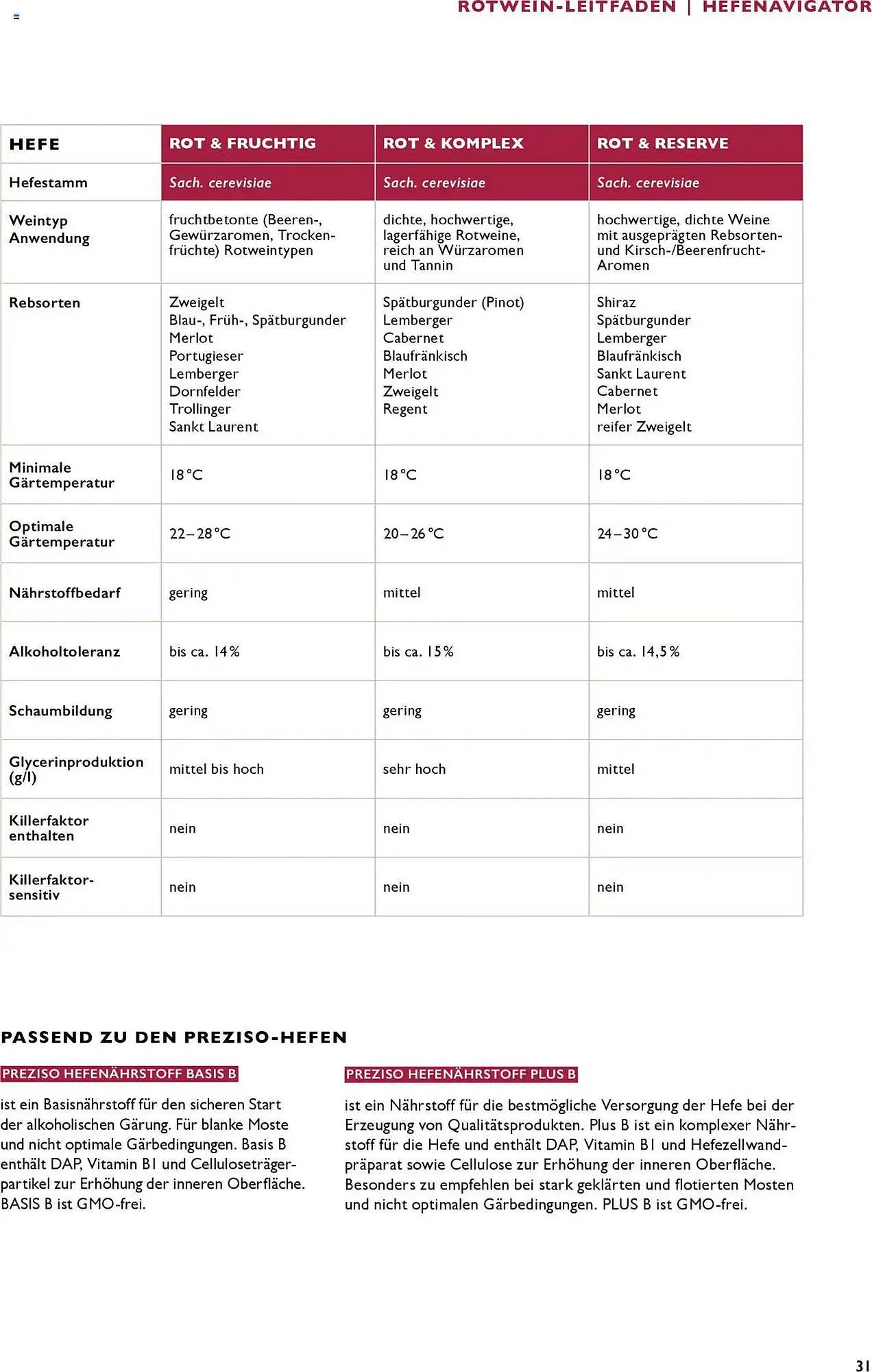 Lagerhaus Flugblatt von 21. Juli bis 31. Dezember 2026 - Flugblätt seite  31