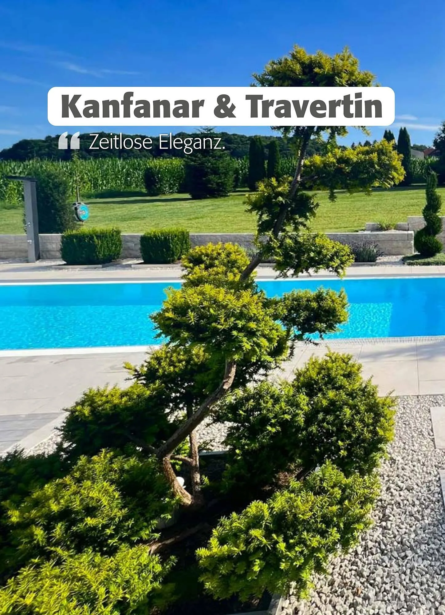 Liebmarkt Prospekt von 24. Februar bis 31. Dezember 2026 - Flugblätt seite  6