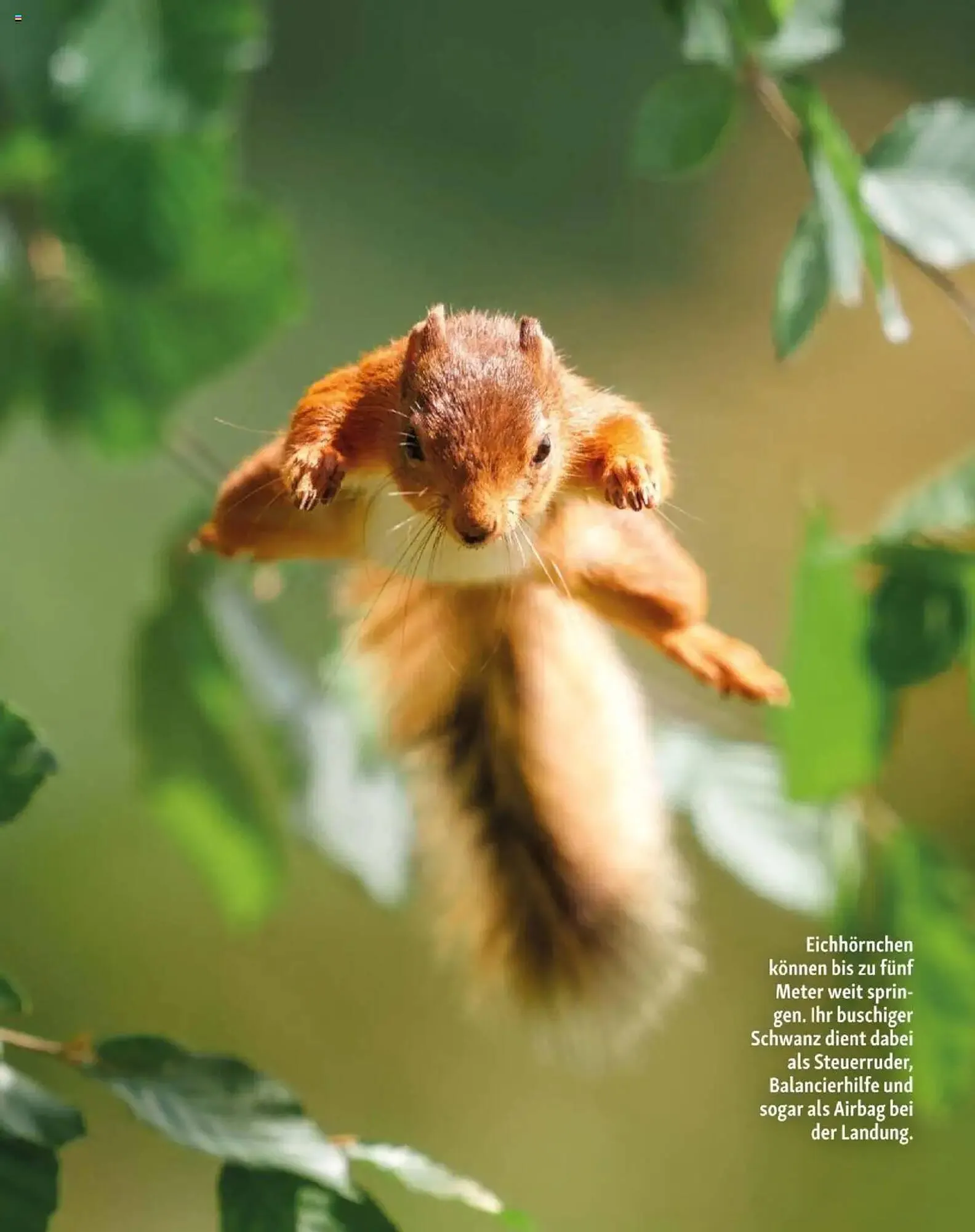 Fressnapf Flugblatt von 1. September bis 31. Oktober 2025 - Flugblätt seite  13