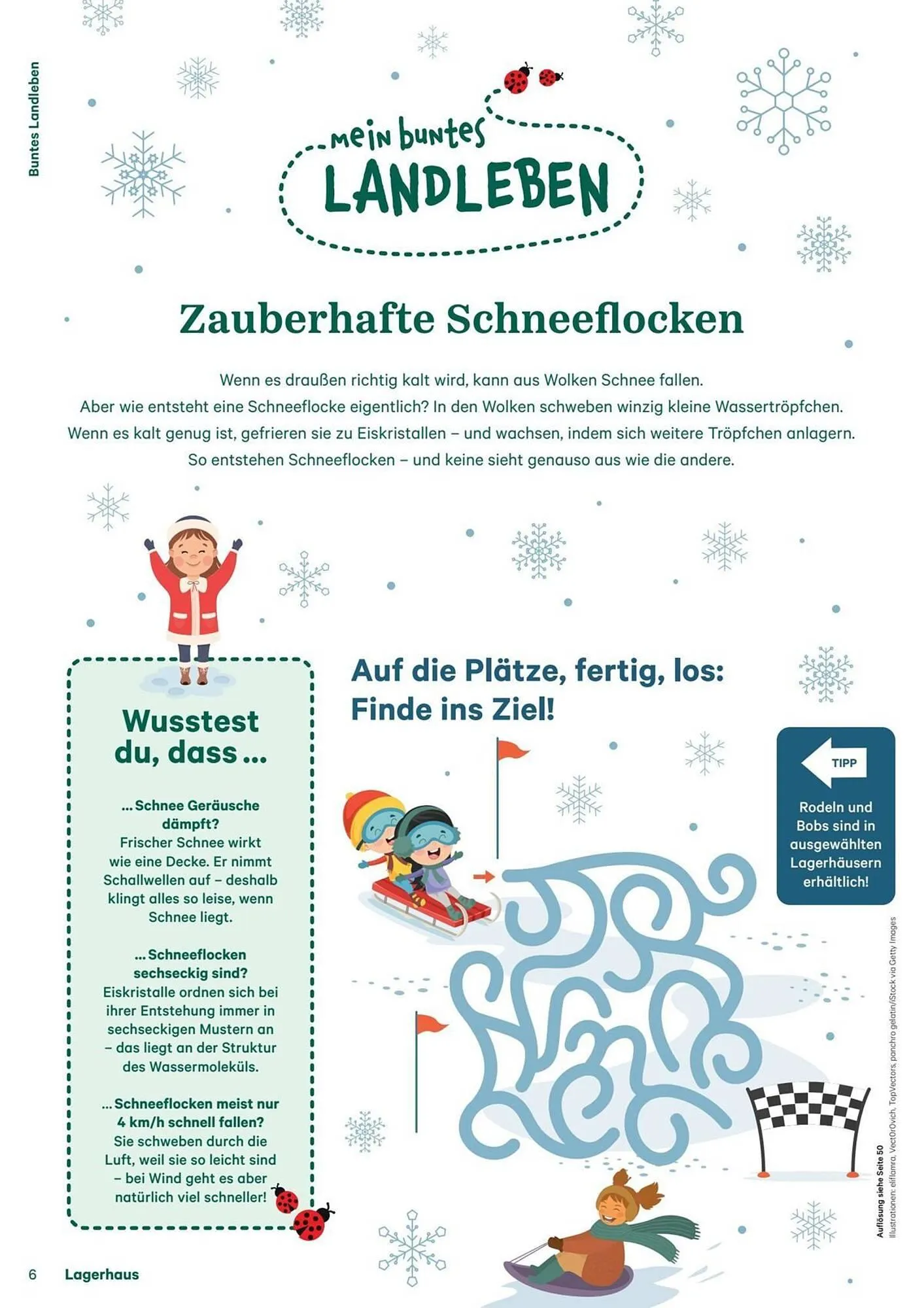 Lagerhaus Flugblatt von 11. Dezember bis 6. Februar 2026 - Flugblätt seite  6